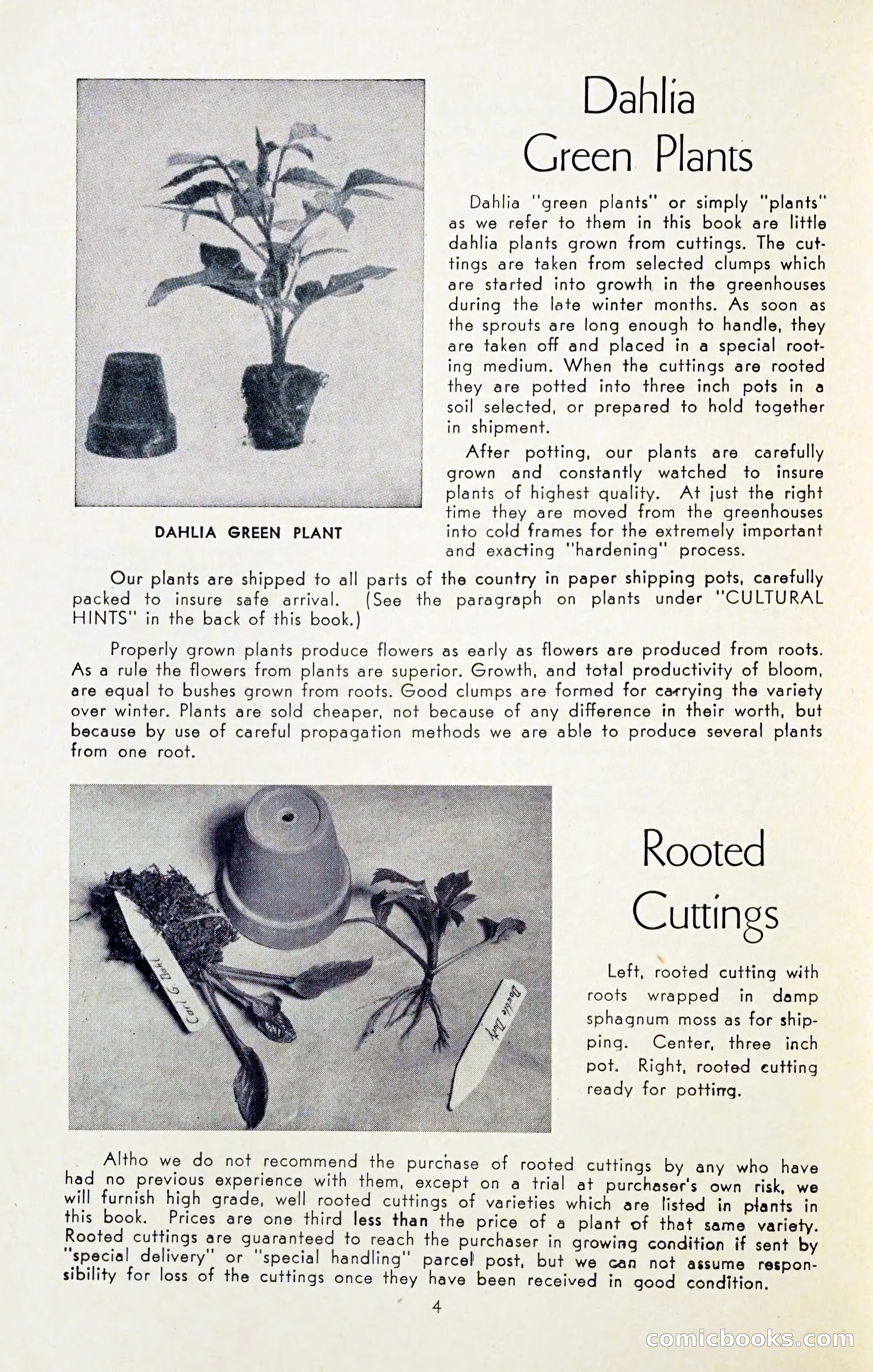 The Dahlia Blue Book for 1954 — page 6 of 80