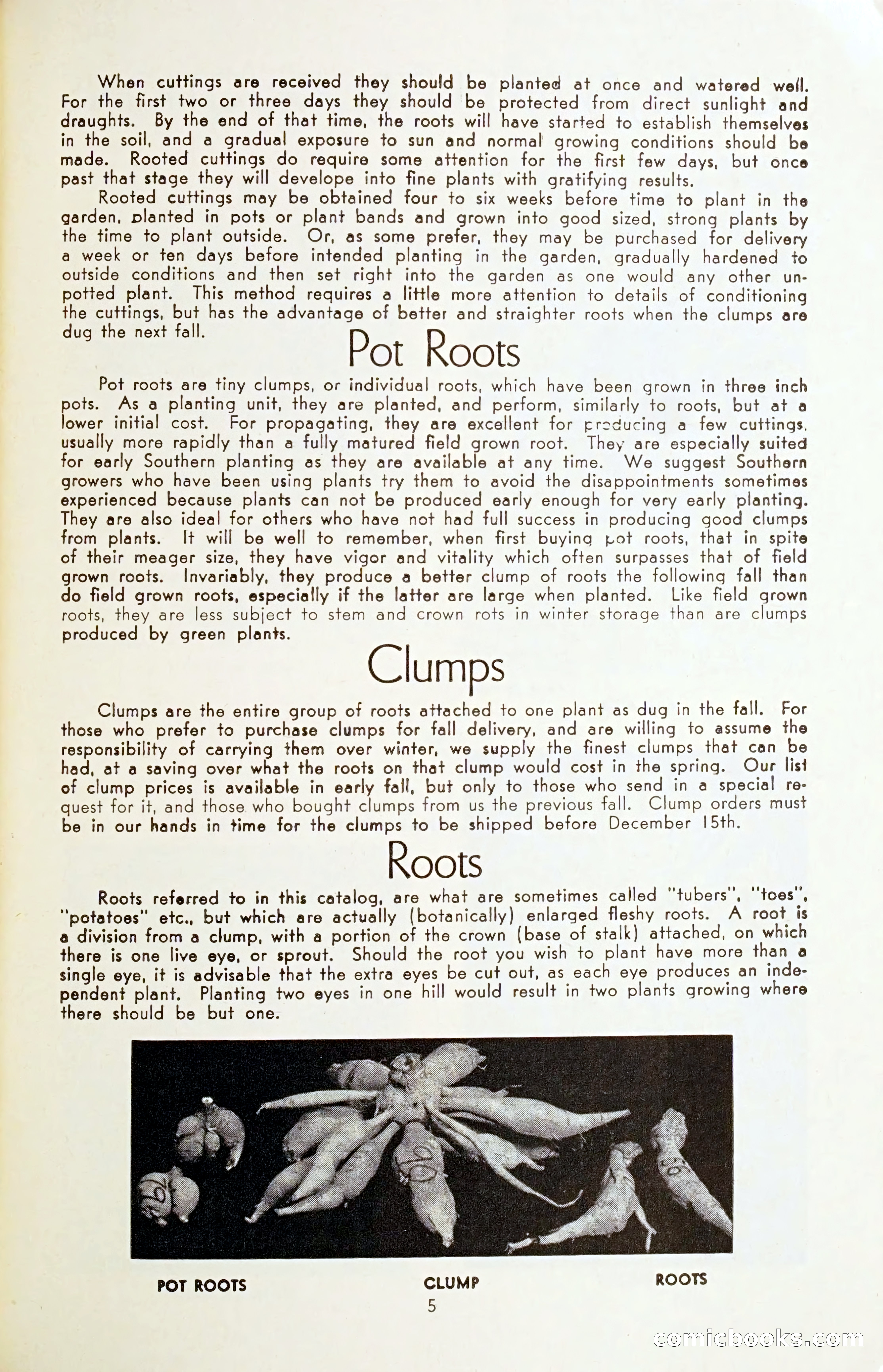 The Dahlia Blue Book for 1954 — page 7 of 80