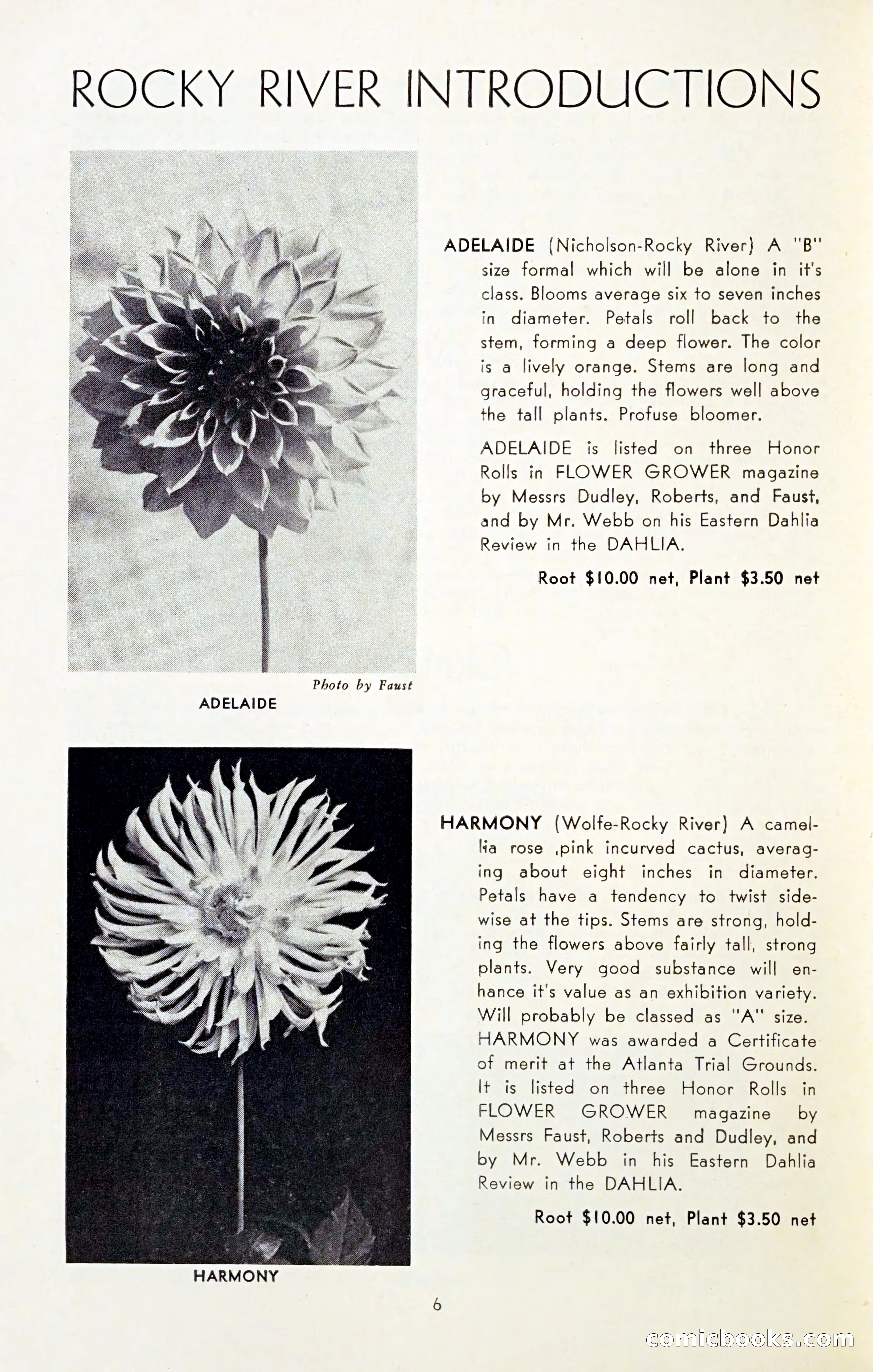 The Dahlia Blue Book for 1954 — page 8 of 80