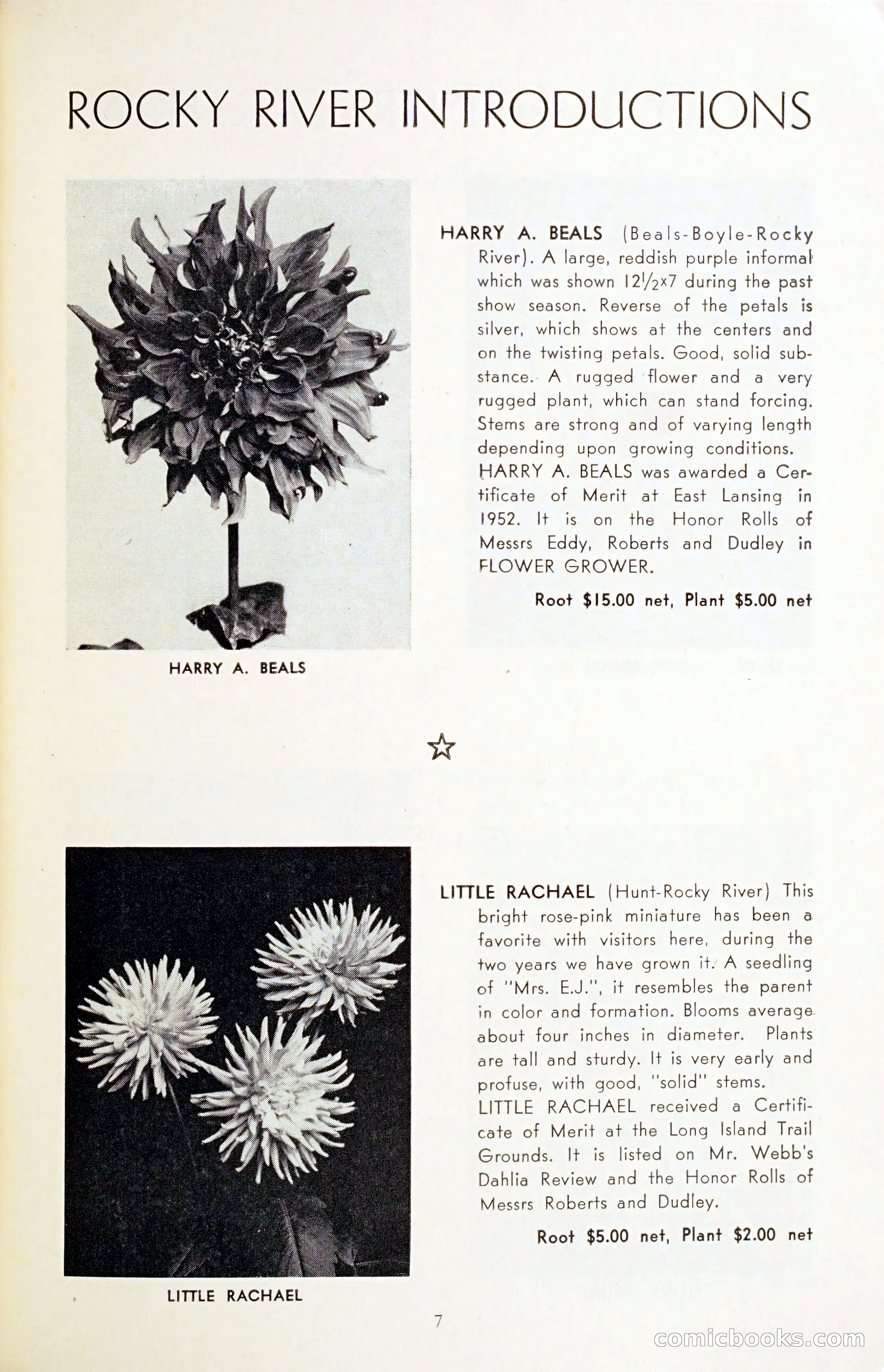 The Dahlia Blue Book for 1954 — page 9 of 80