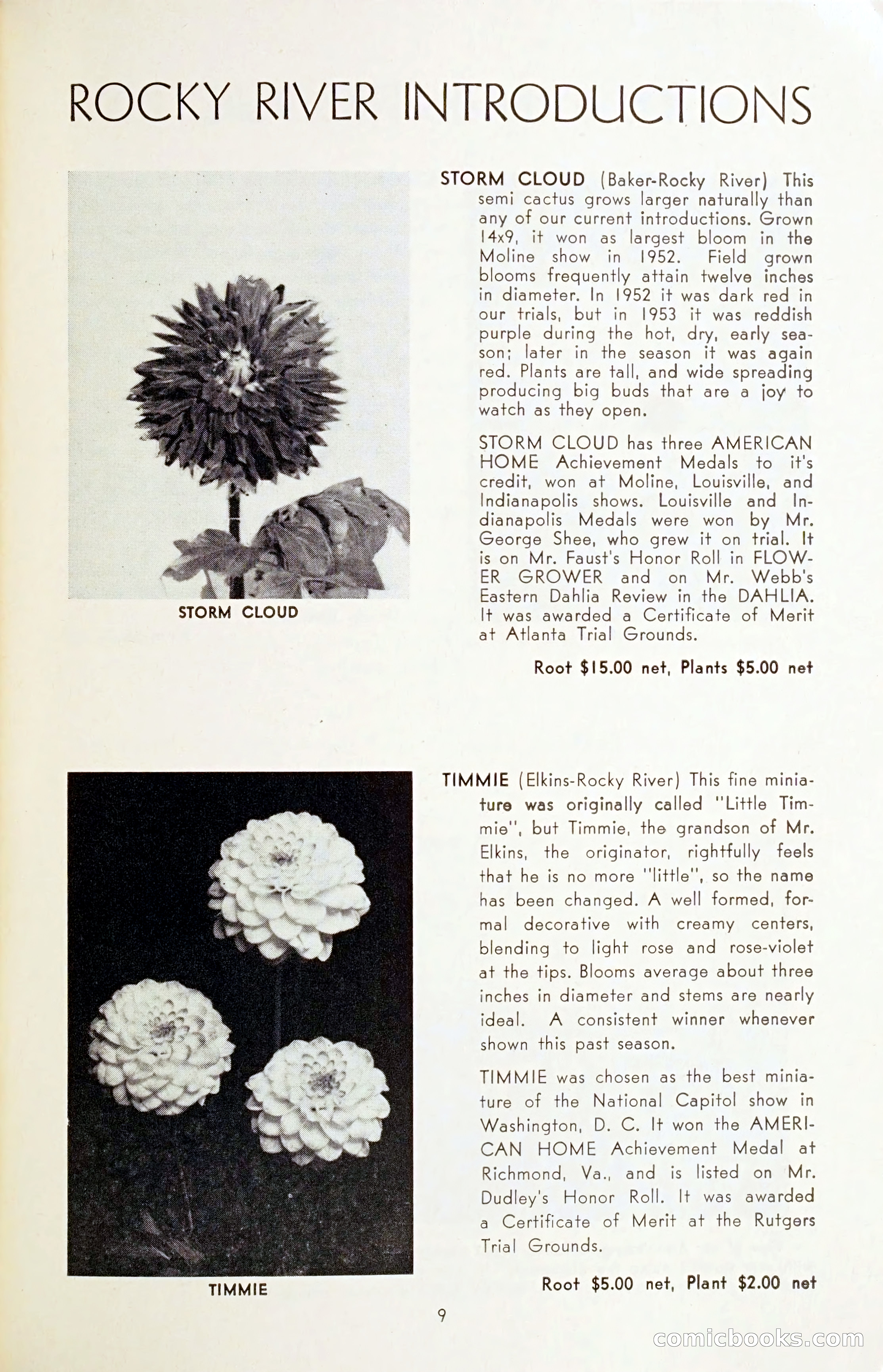The Dahlia Blue Book for 1954 — page 11 of 80