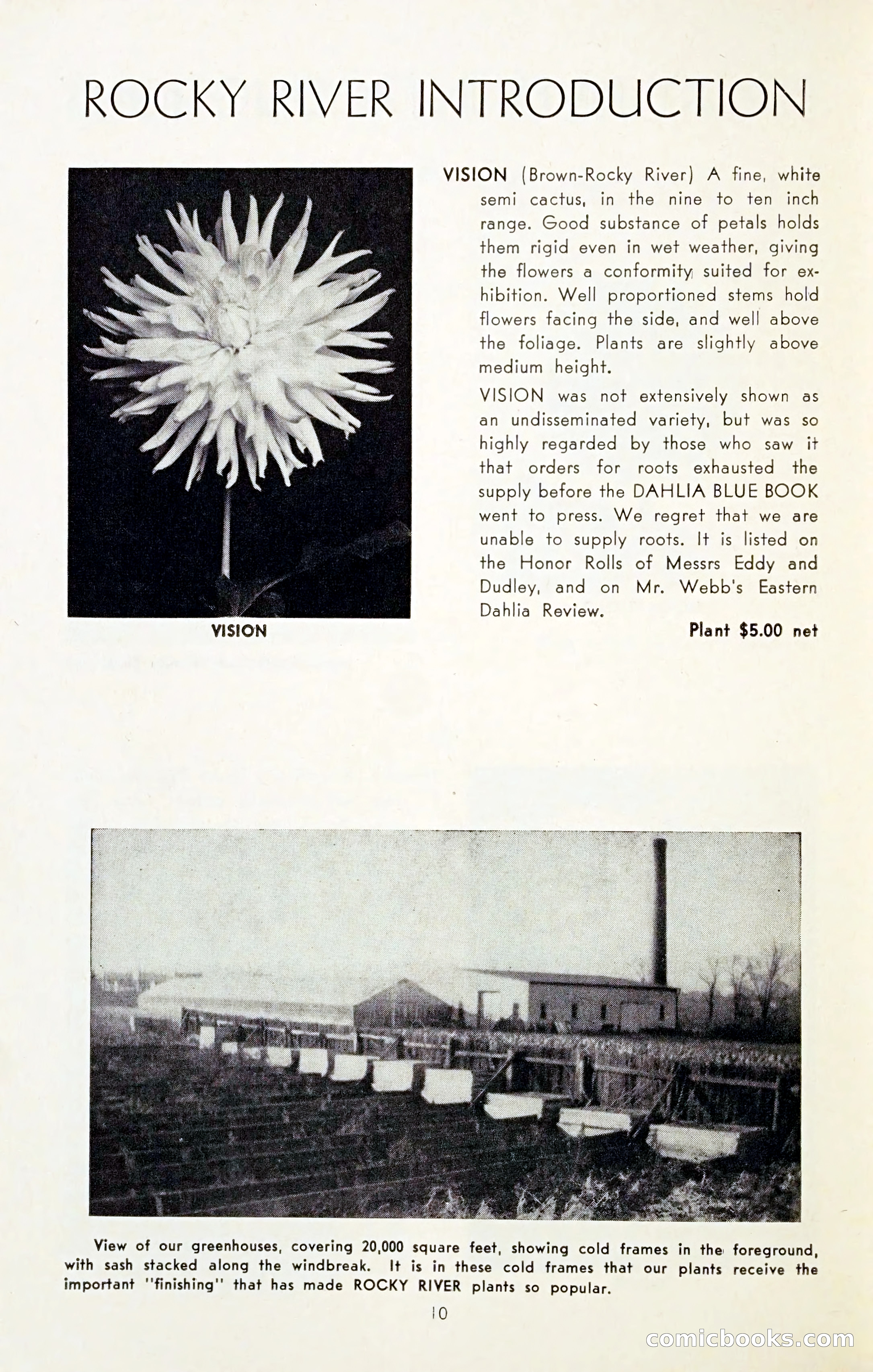 The Dahlia Blue Book for 1954 — page 12 of 80
