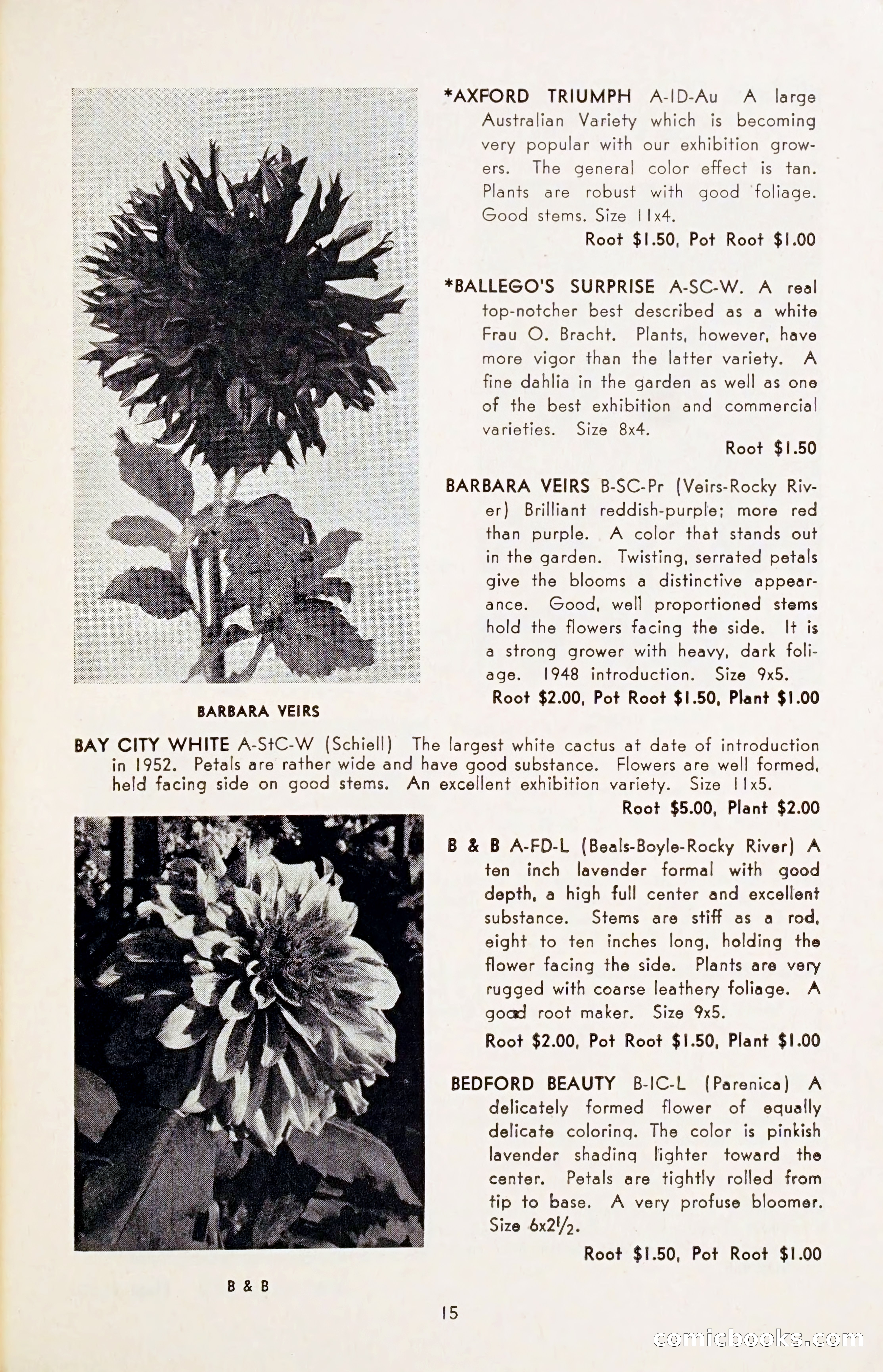 The Dahlia Blue Book for 1954 — page 17 of 80