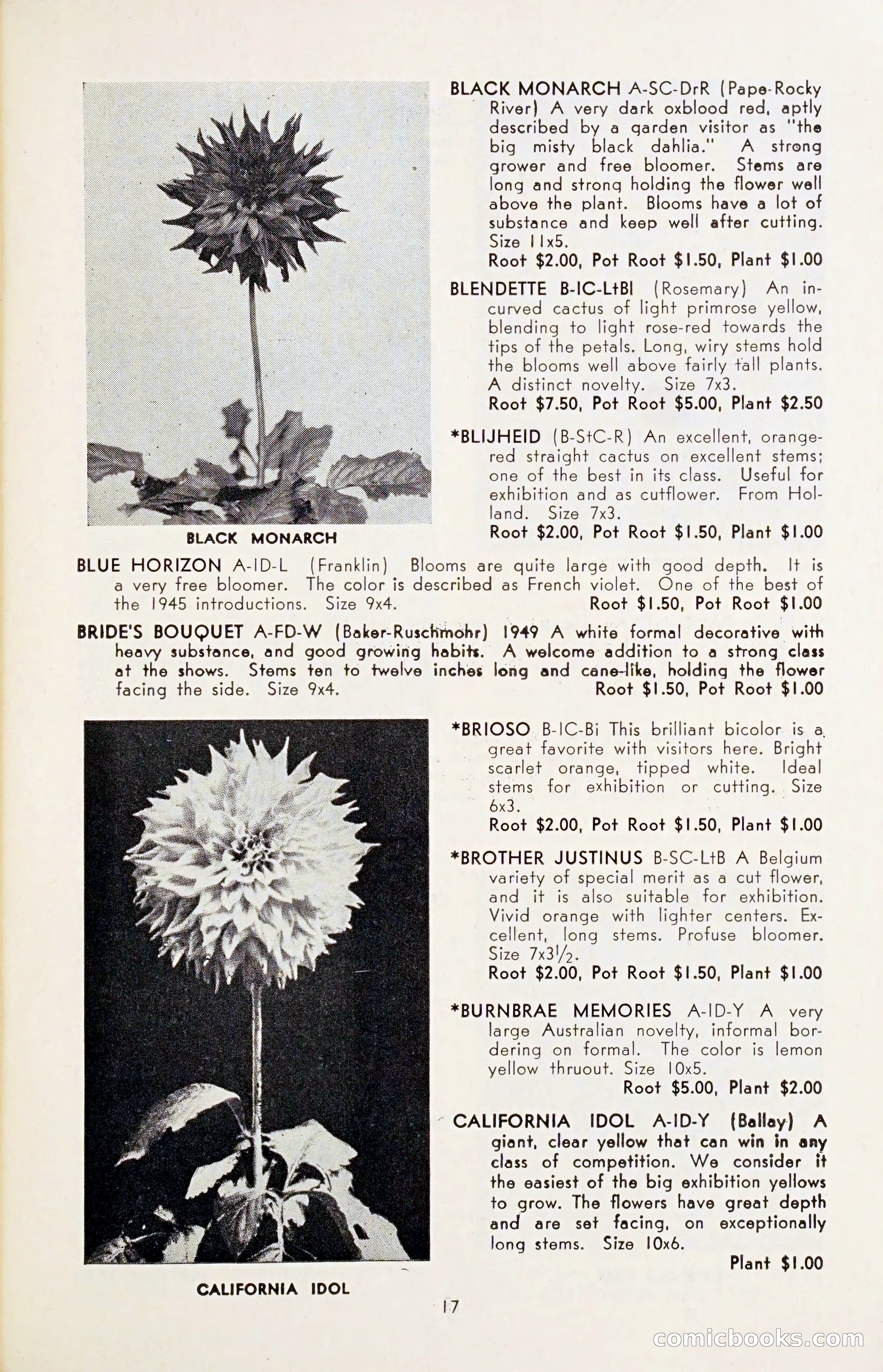 The Dahlia Blue Book for 1954 — page 19 of 80