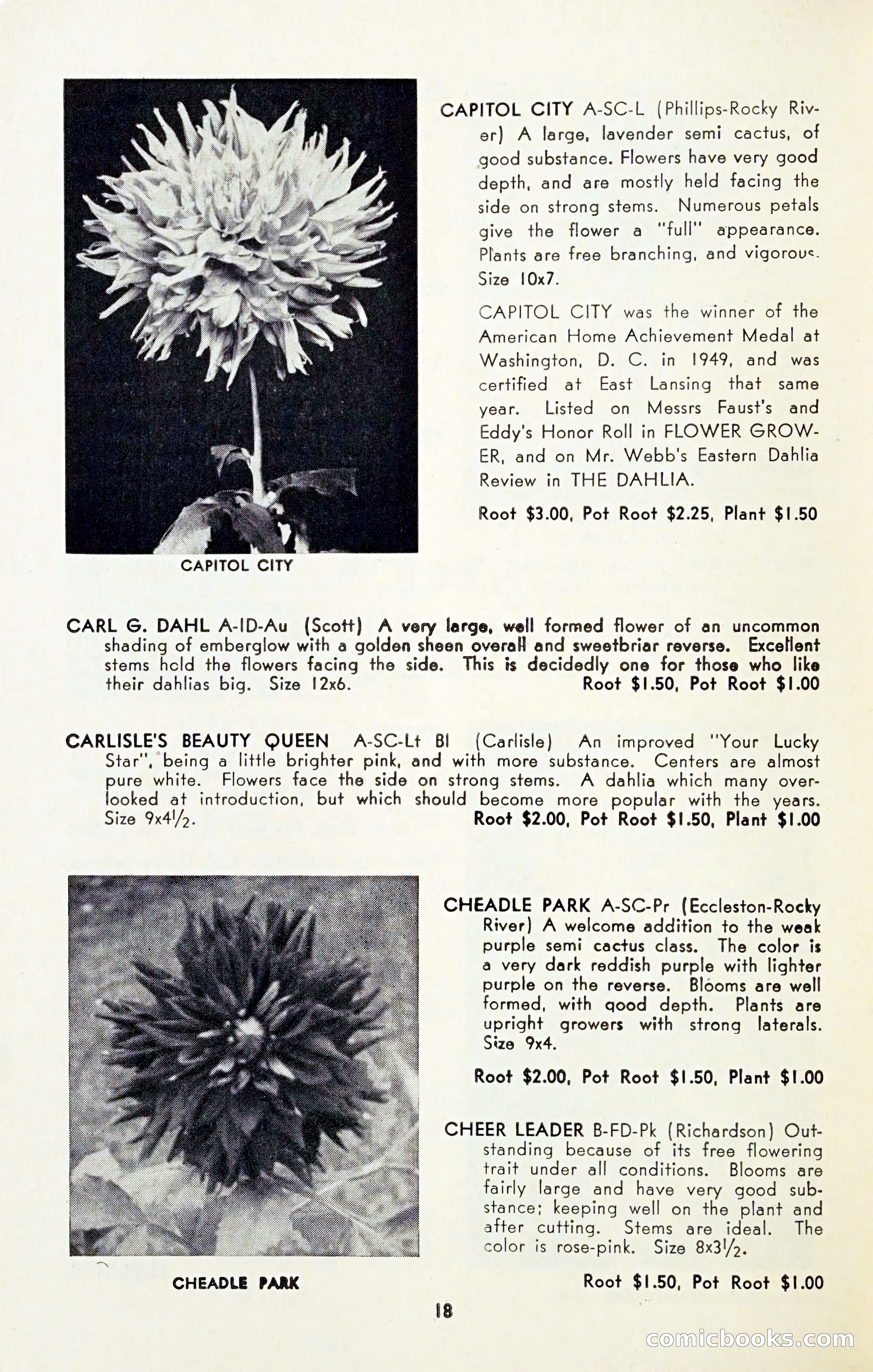 The Dahlia Blue Book for 1954 — page 20 of 80