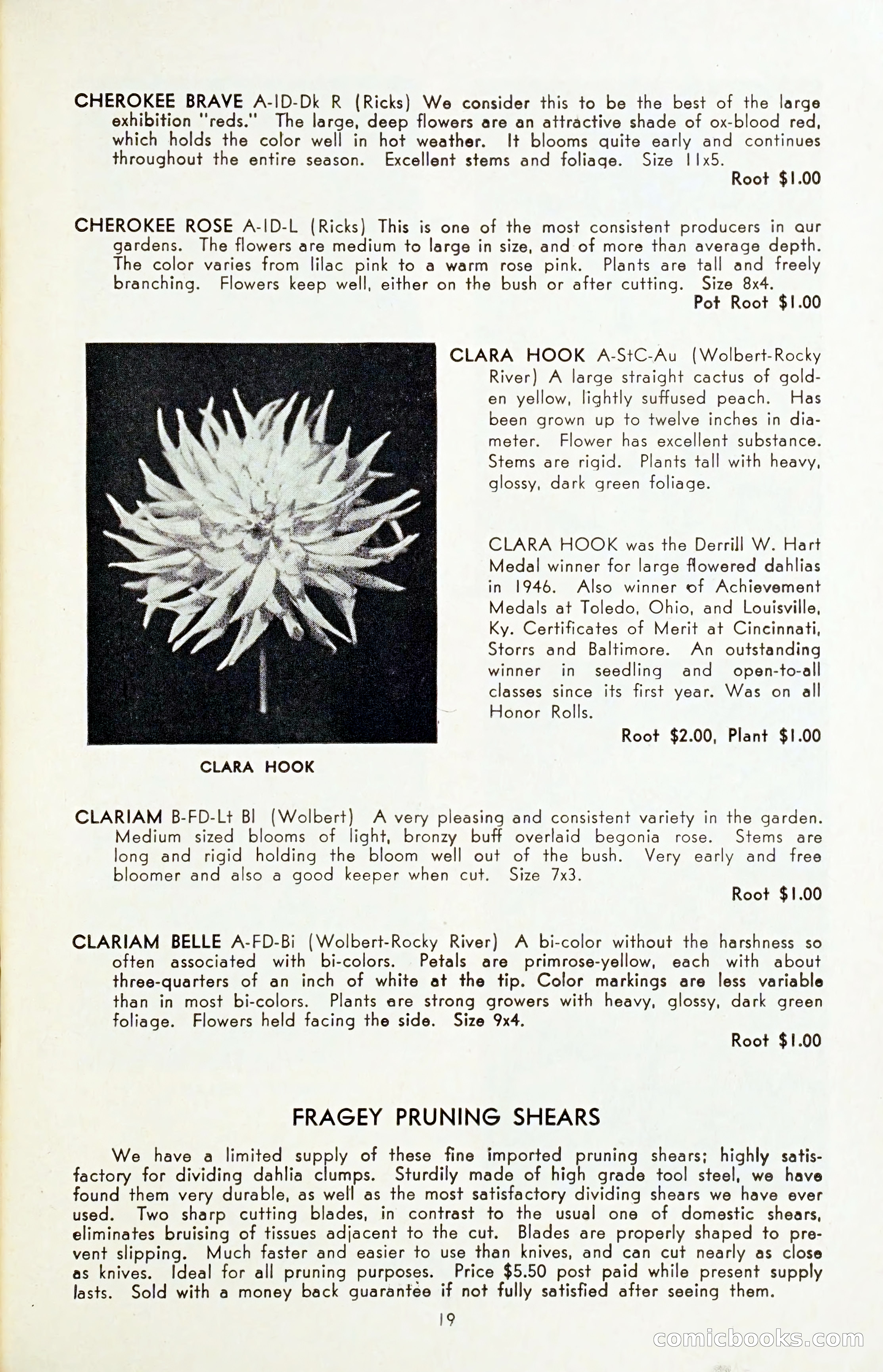 The Dahlia Blue Book for 1954 — page 21 of 80