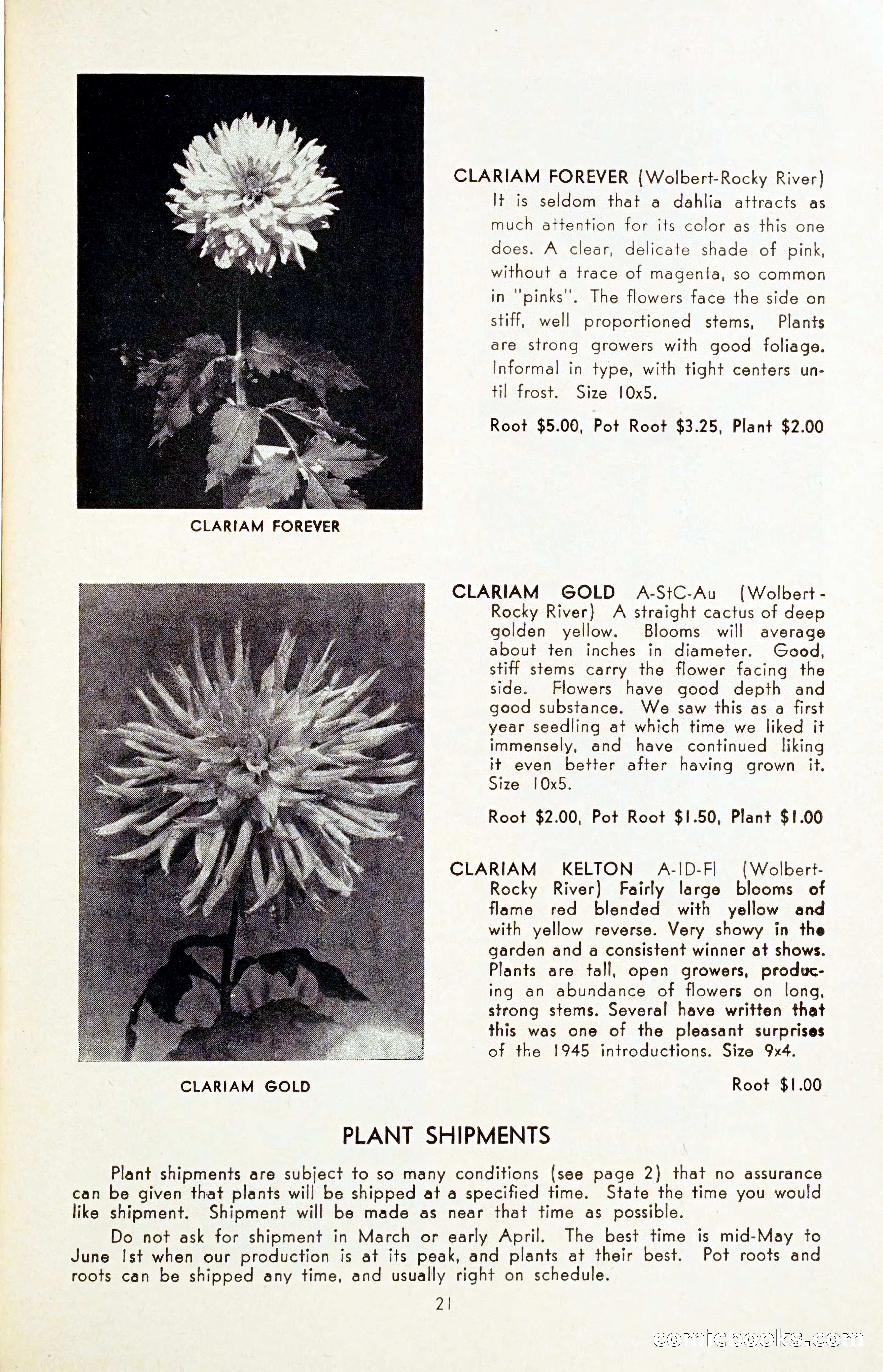 The Dahlia Blue Book for 1954 — page 23 of 80