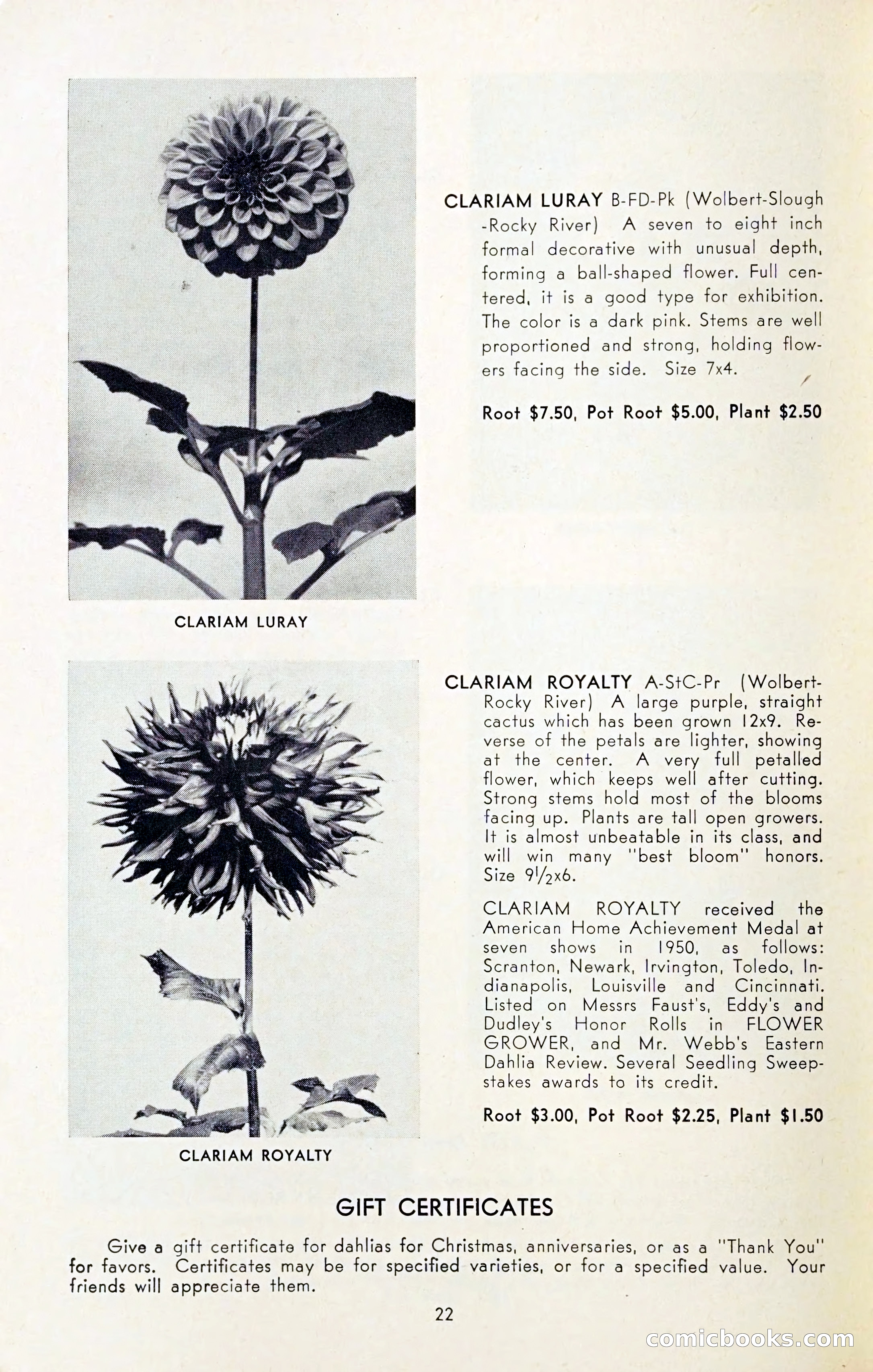 The Dahlia Blue Book for 1954 — page 24 of 80