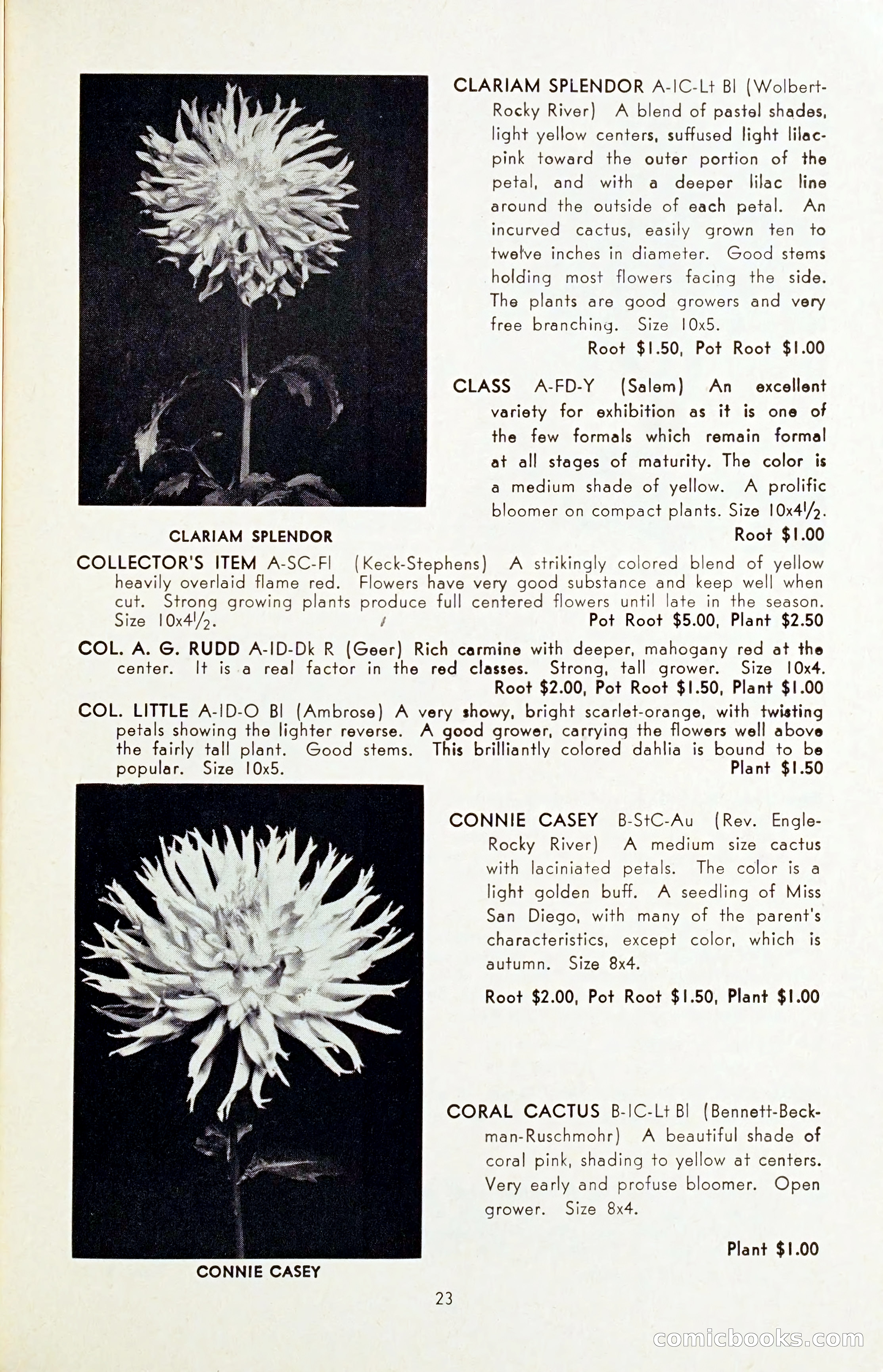 The Dahlia Blue Book for 1954 — page 25 of 80