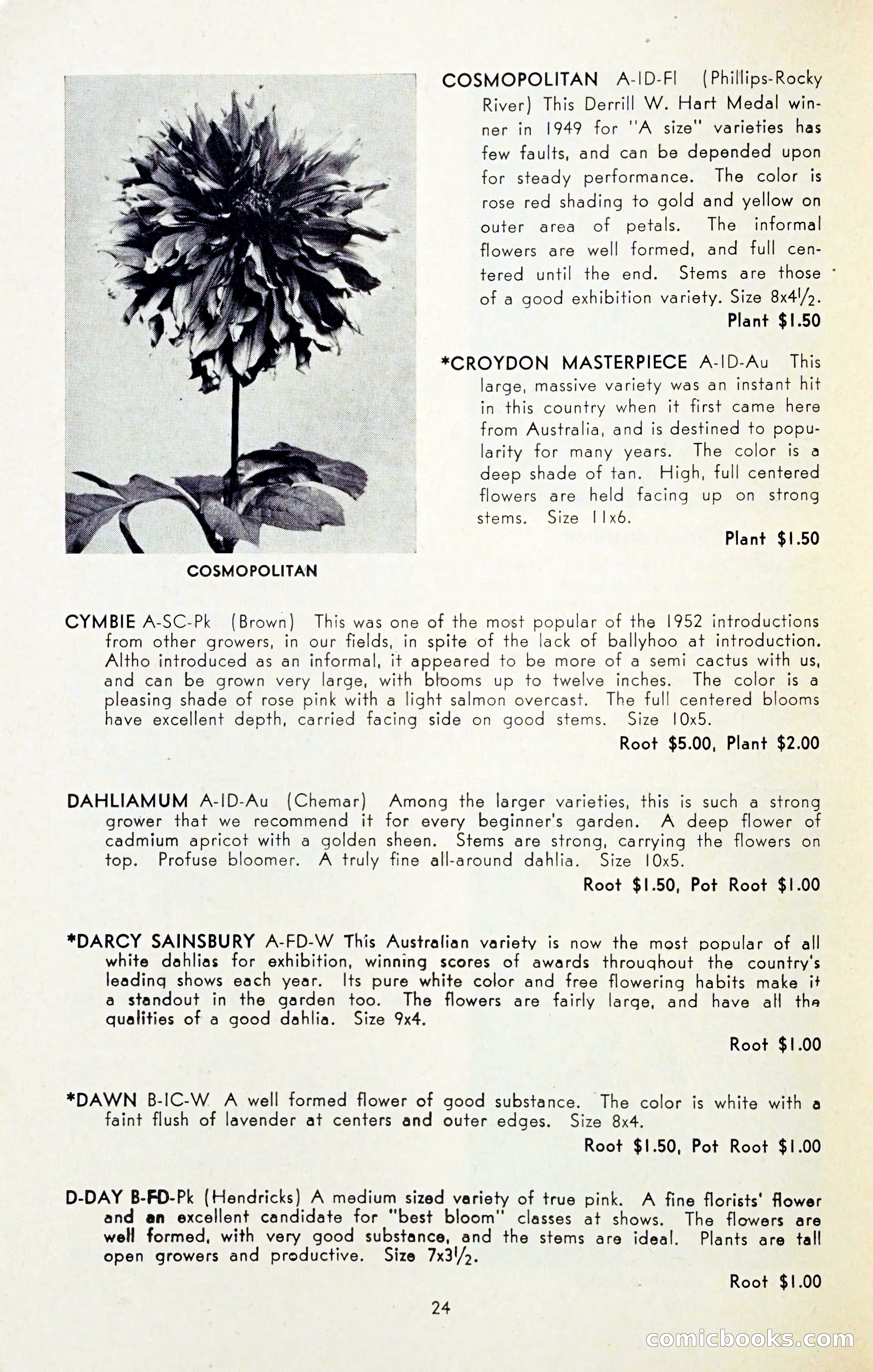 The Dahlia Blue Book for 1954 — page 26 of 80