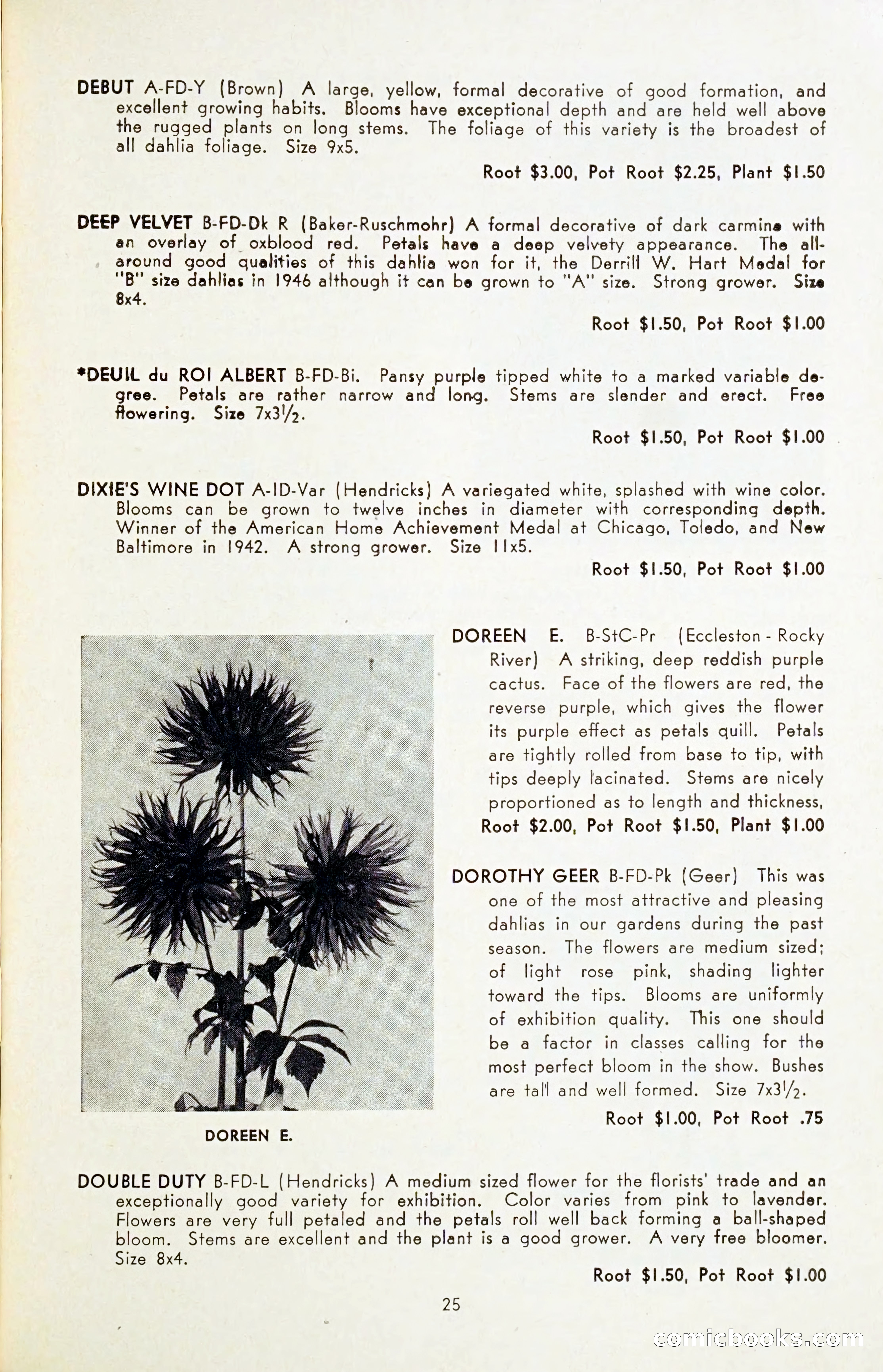 The Dahlia Blue Book for 1954 — page 27 of 80