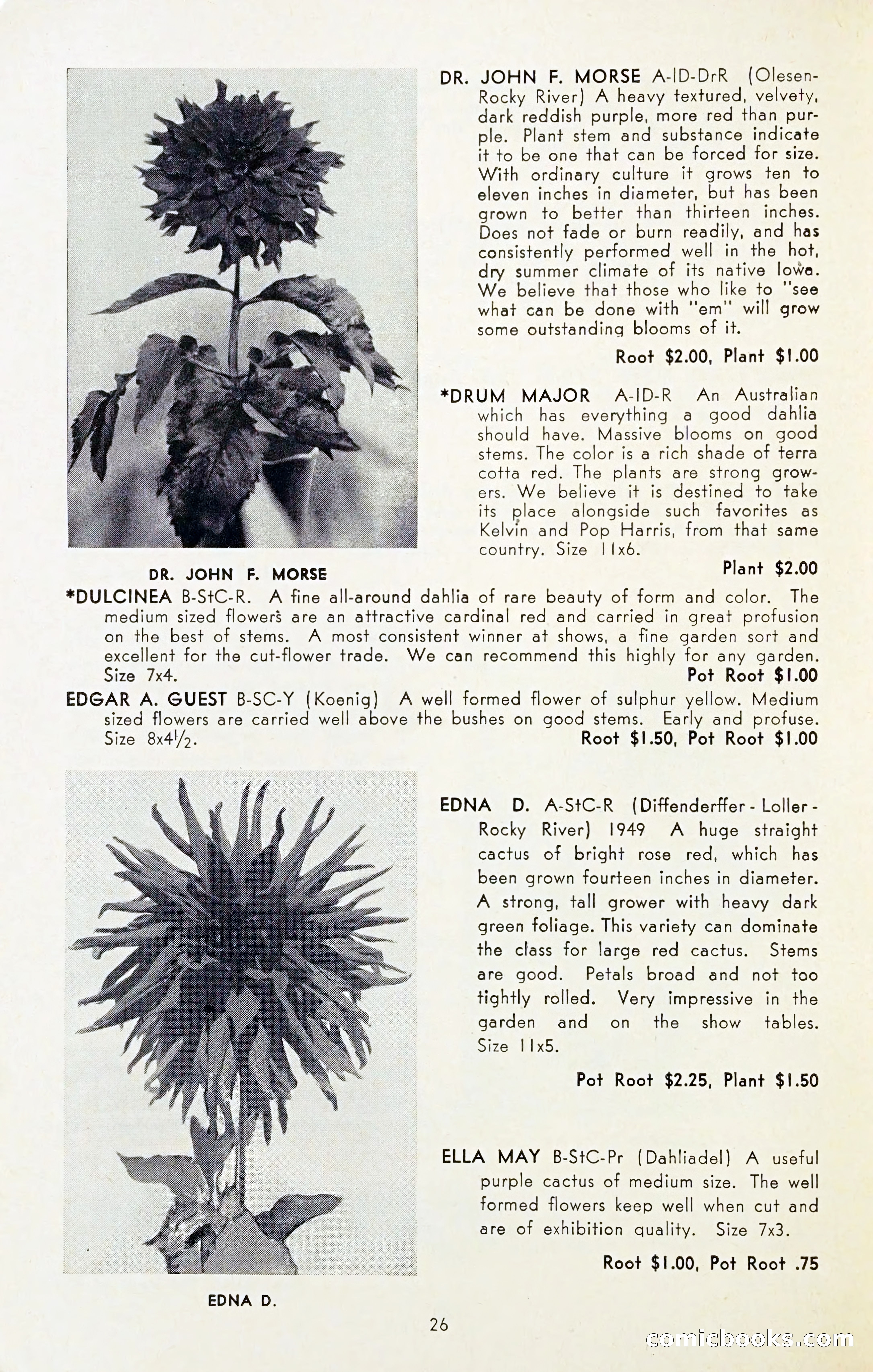 The Dahlia Blue Book for 1954 — page 28 of 80