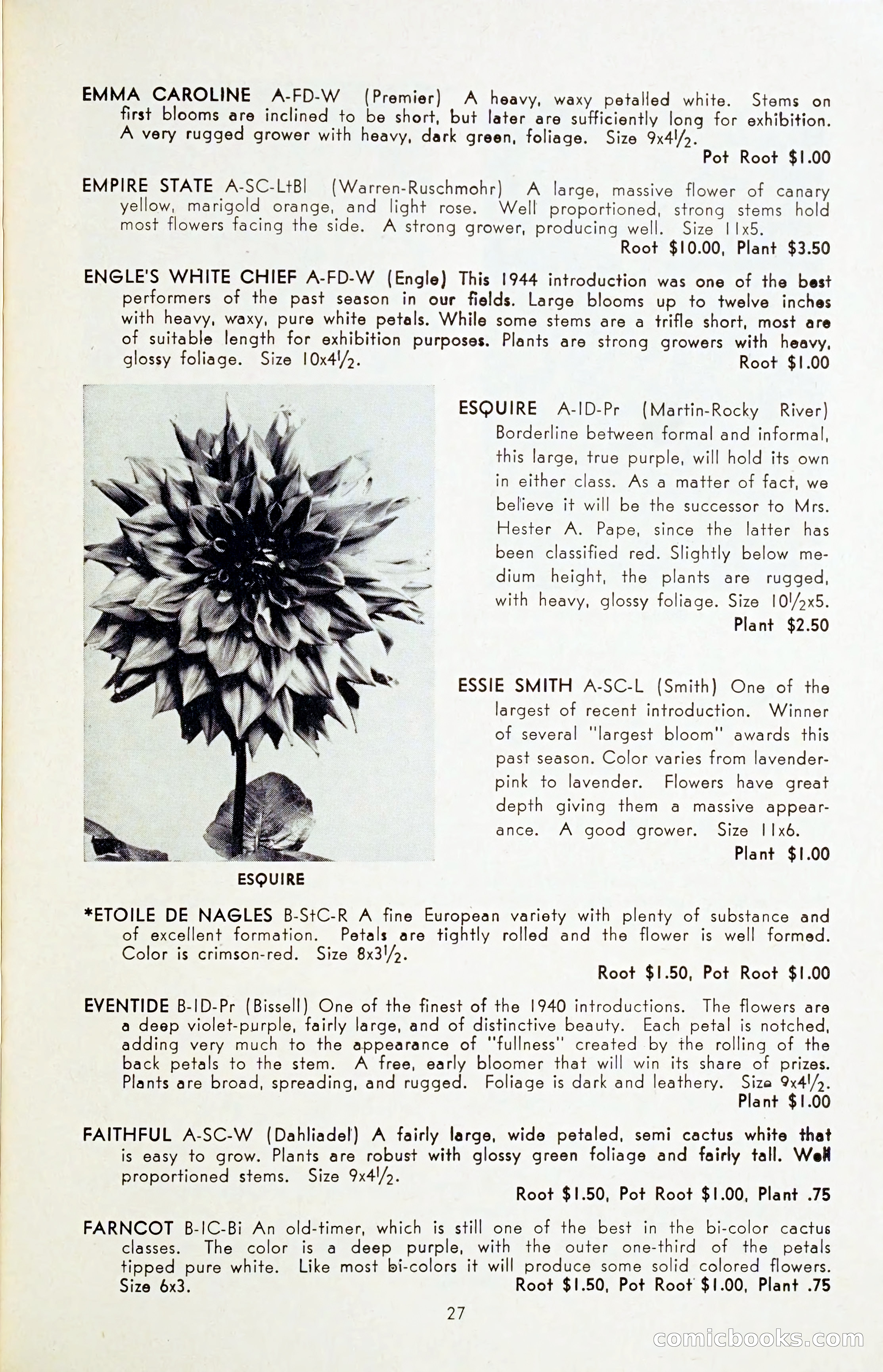 The Dahlia Blue Book for 1954 — page 29 of 80