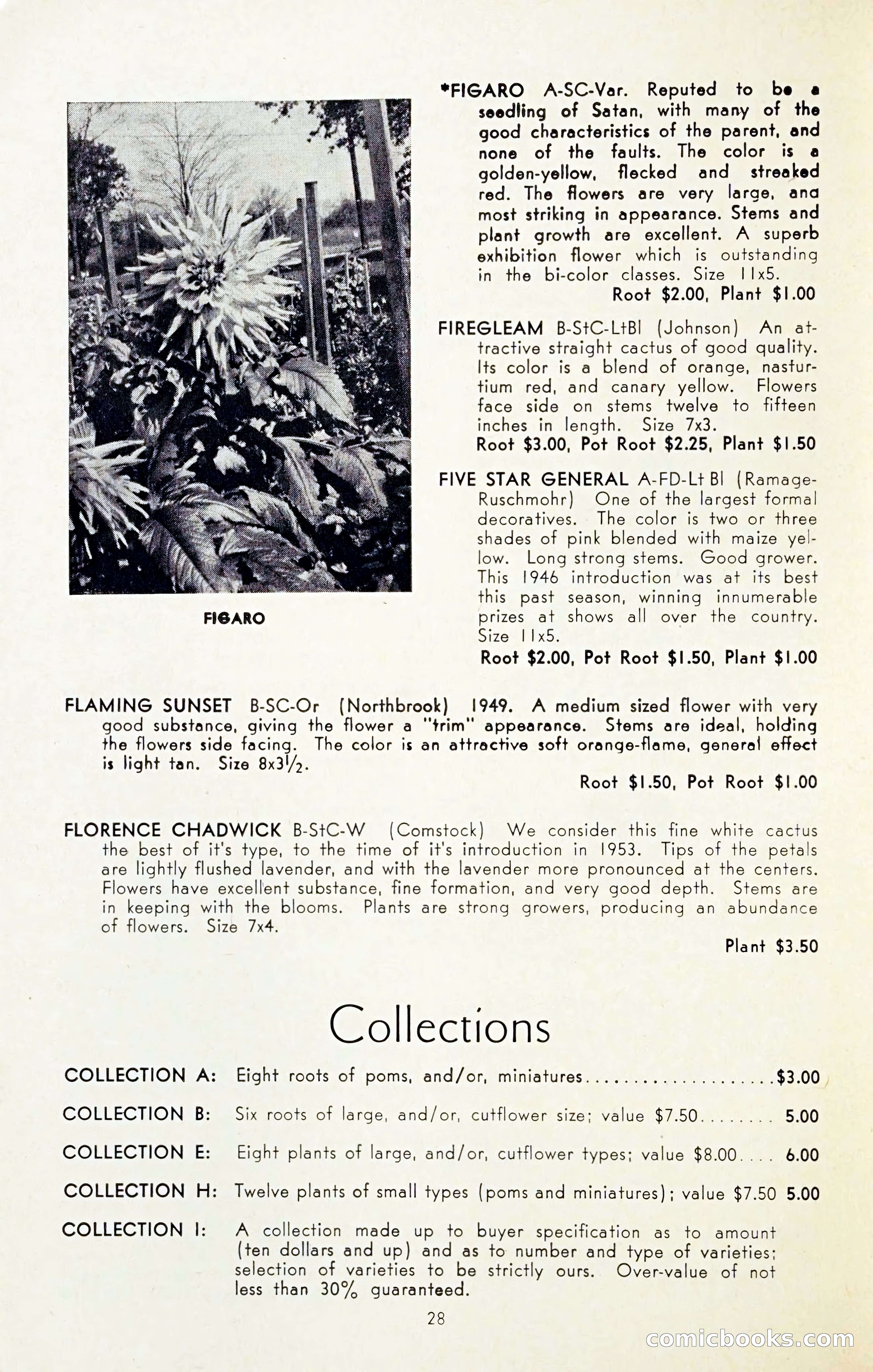 The Dahlia Blue Book for 1954 — page 30 of 80