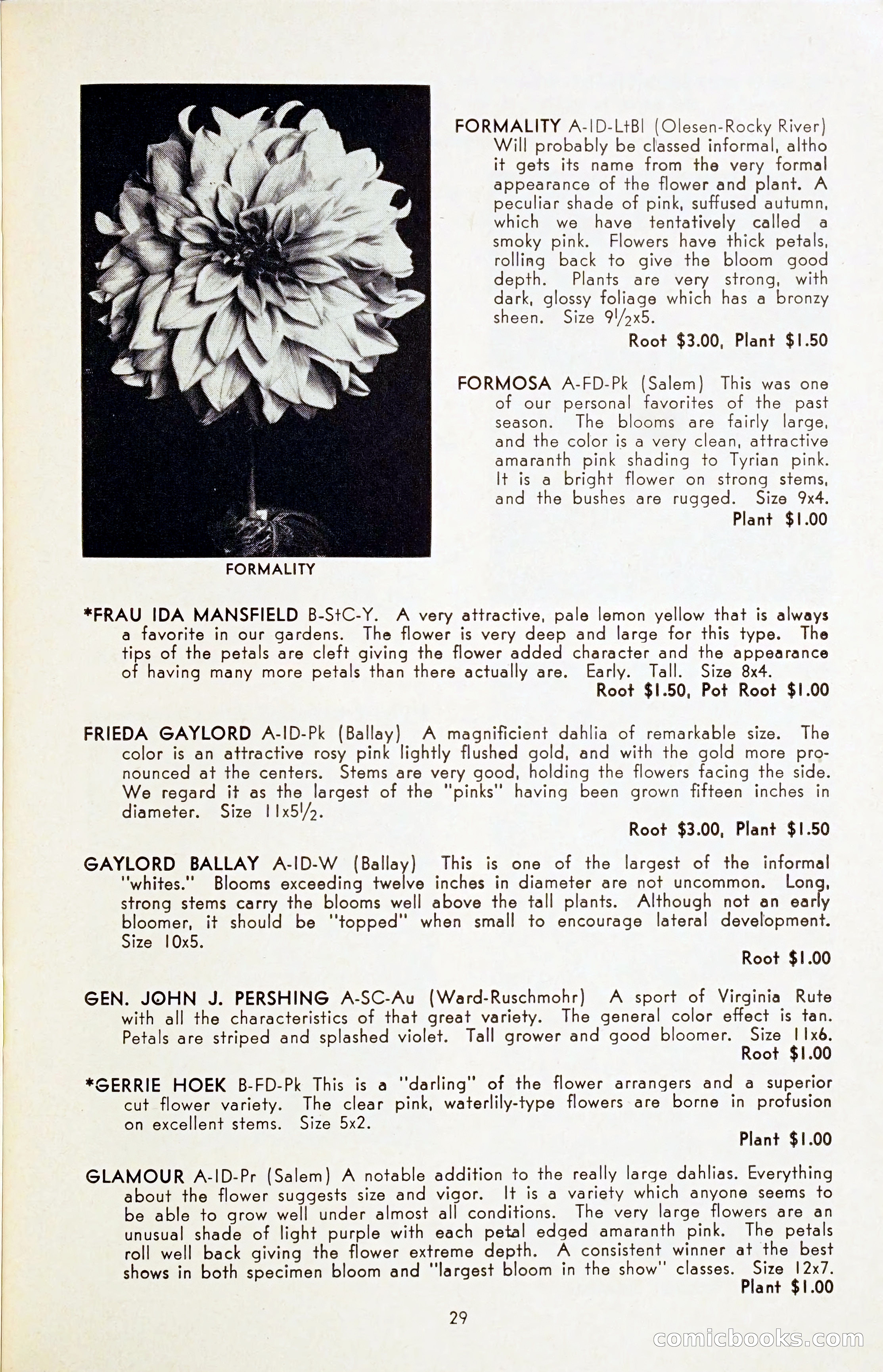 The Dahlia Blue Book for 1954 — page 31 of 80