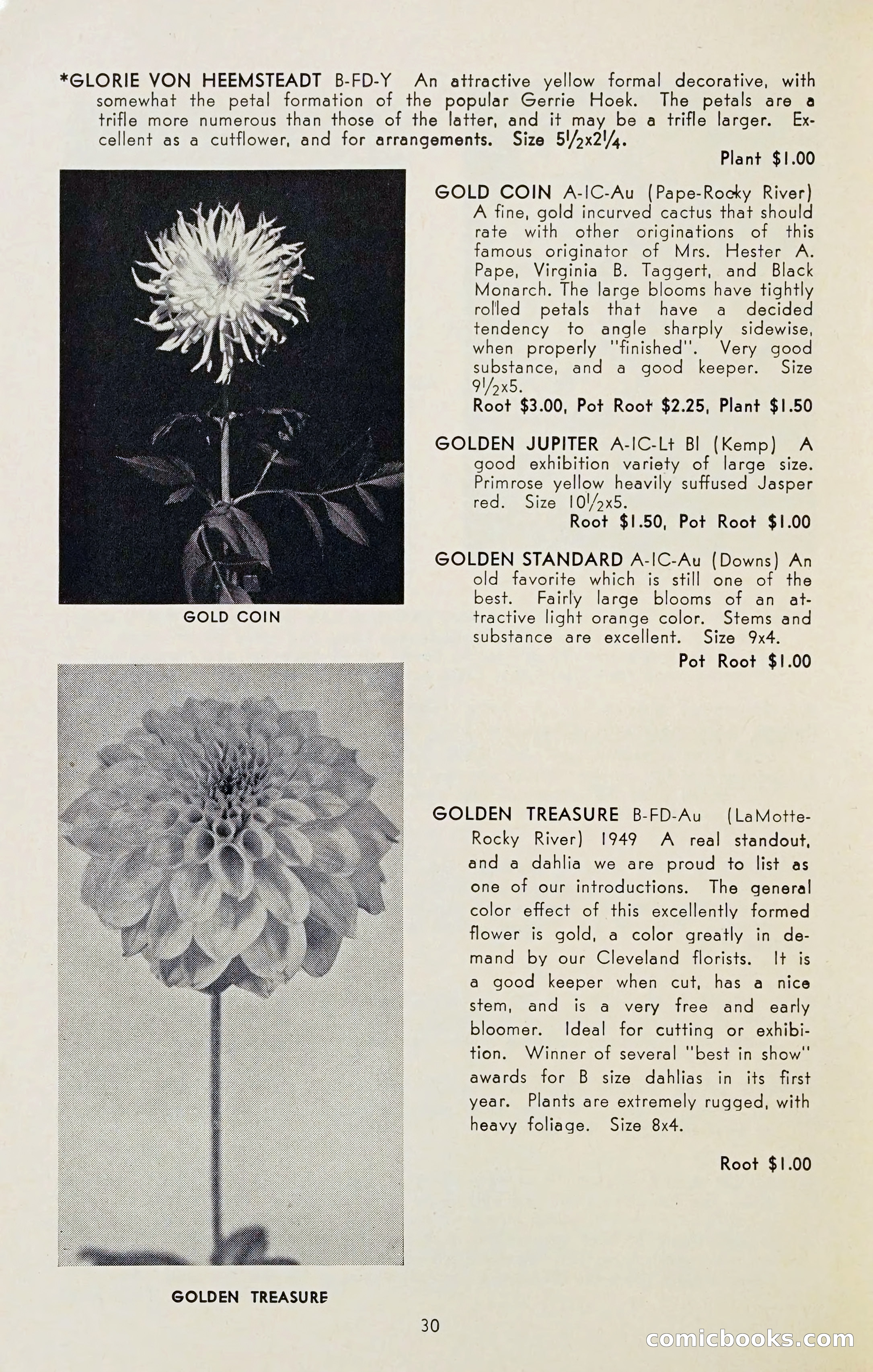 The Dahlia Blue Book for 1954 — page 32 of 80
