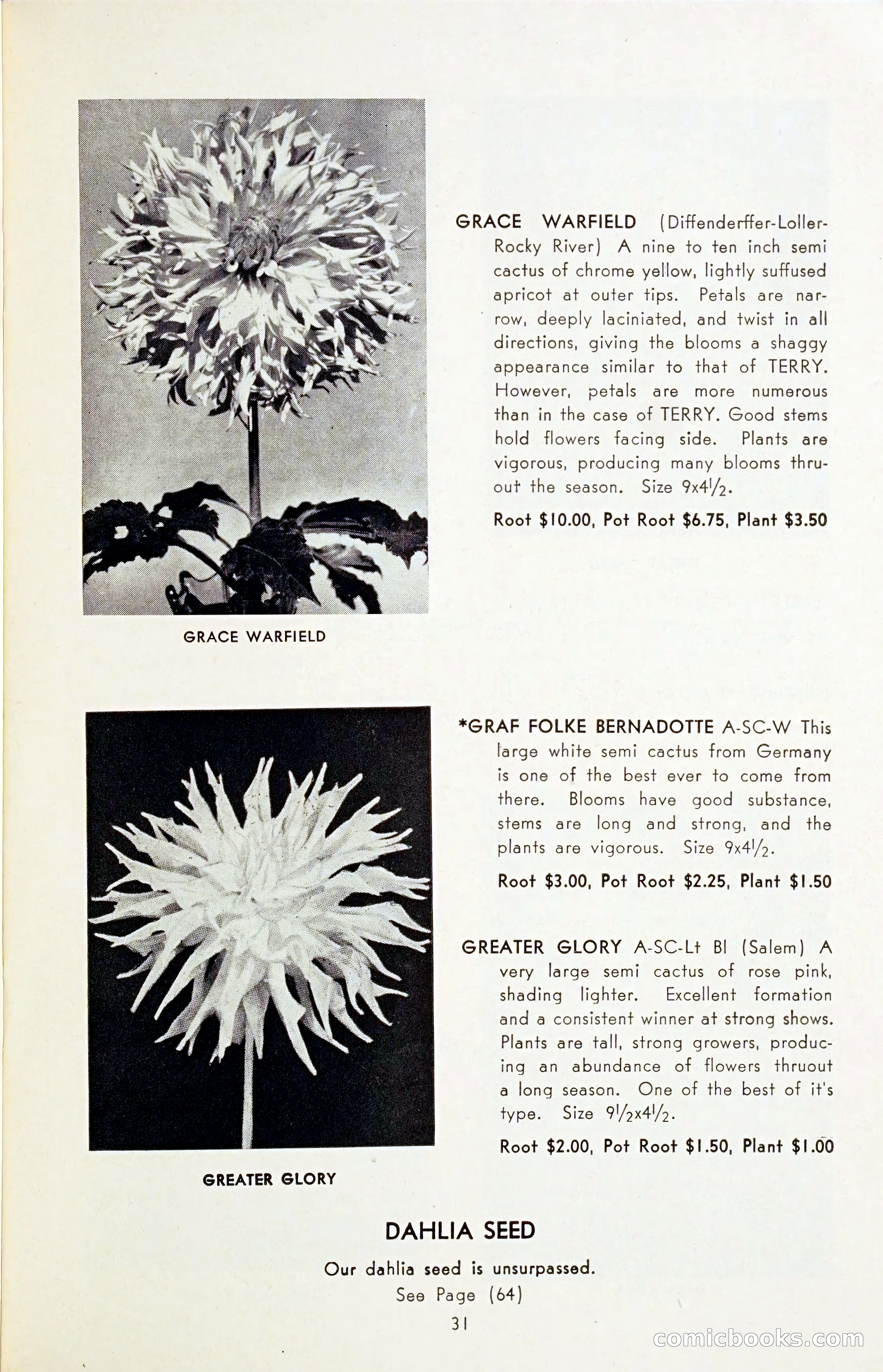 The Dahlia Blue Book for 1954 — page 33 of 80