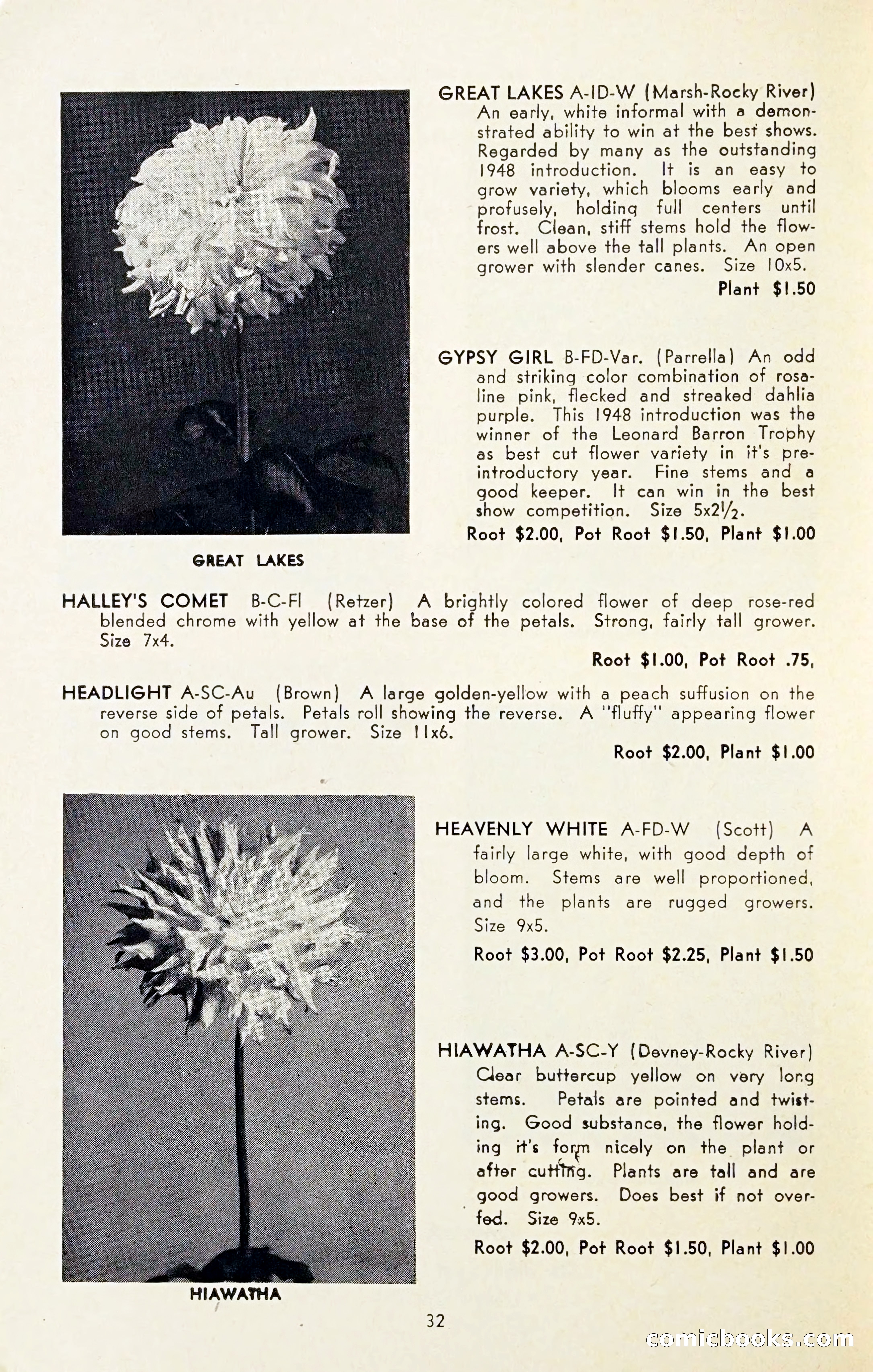 The Dahlia Blue Book for 1954 — page 34 of 80