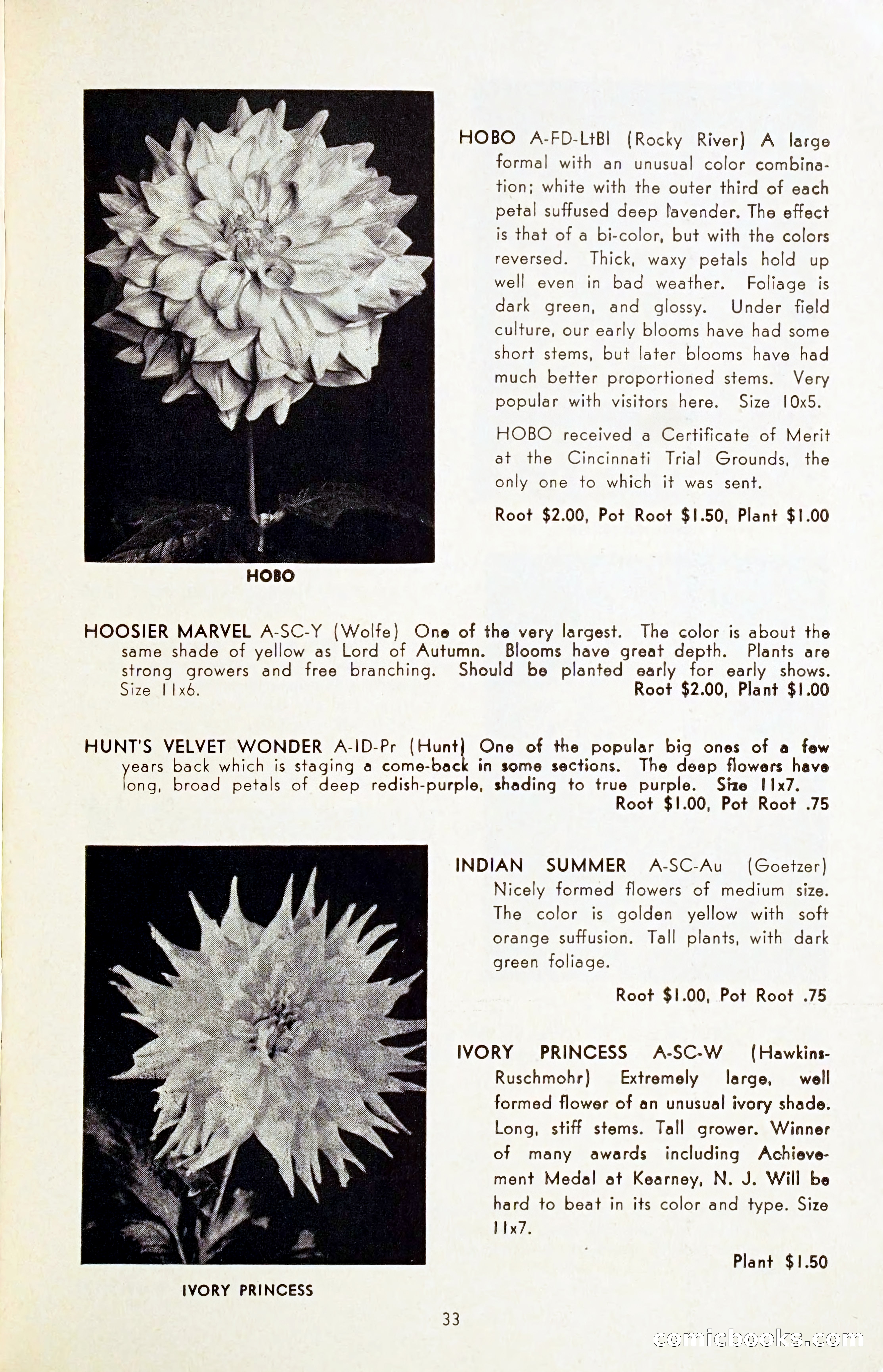 The Dahlia Blue Book for 1954 — page 35 of 80