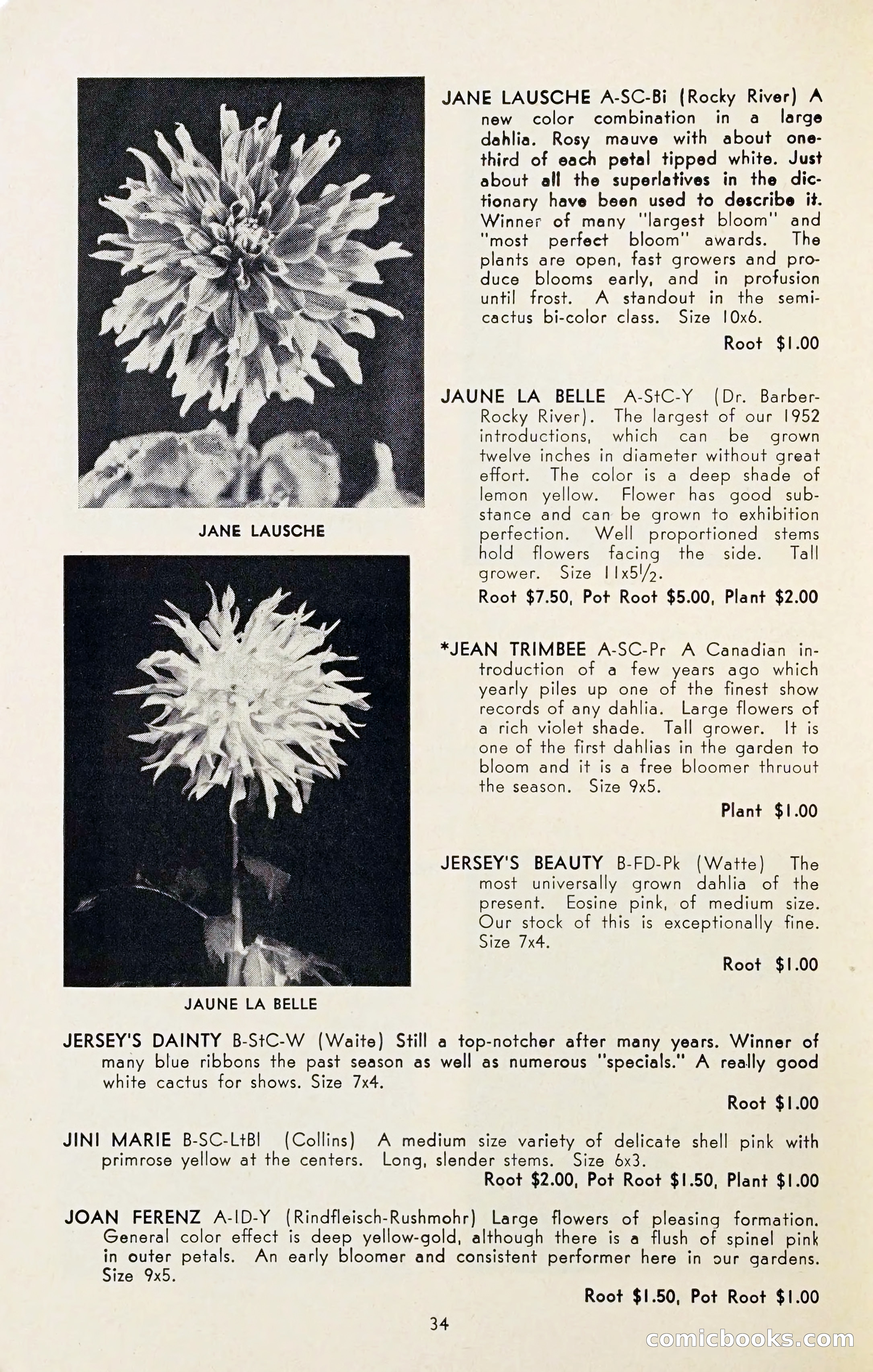 The Dahlia Blue Book for 1954 — page 36 of 80