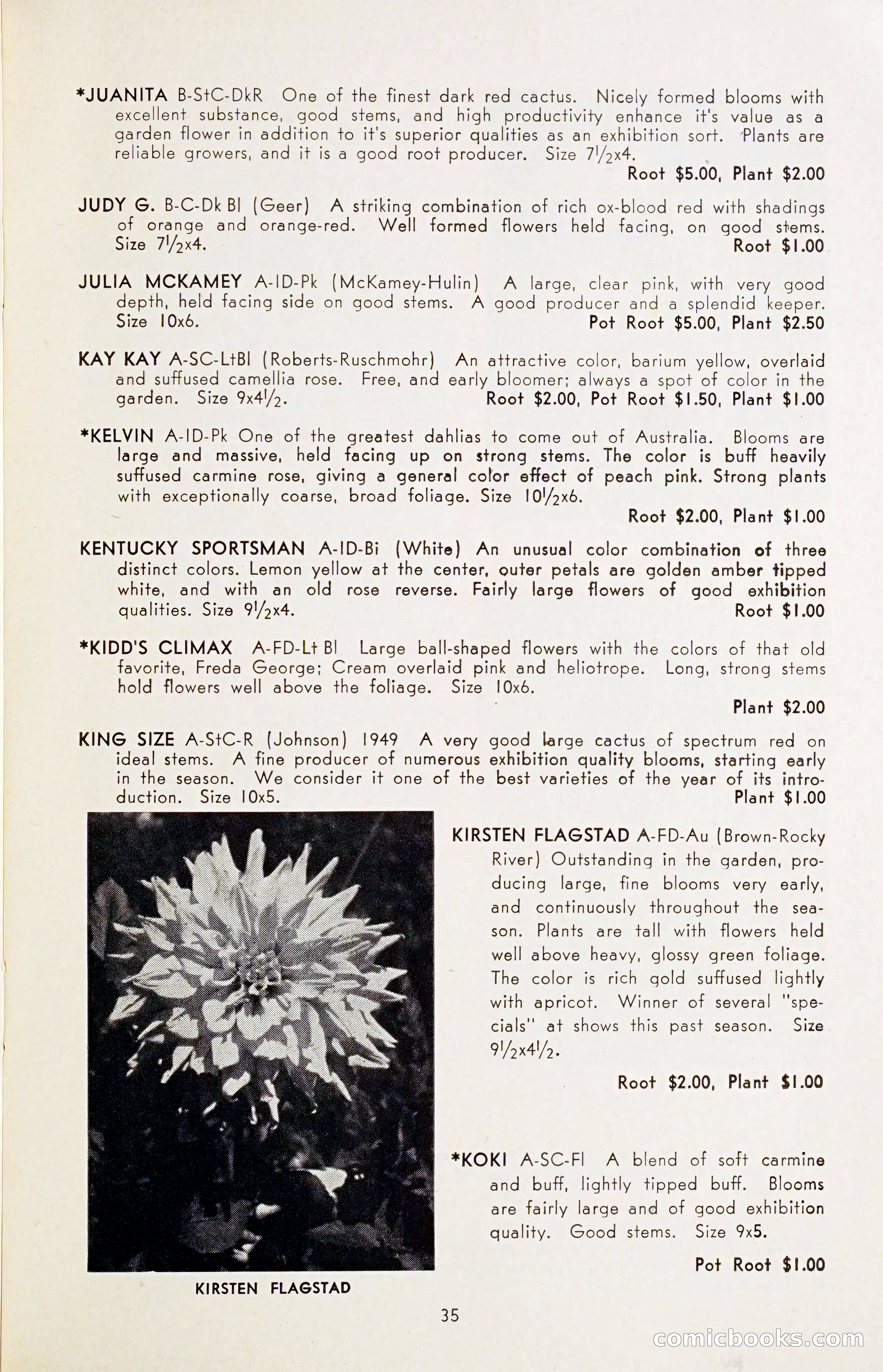 The Dahlia Blue Book for 1954 — page 37 of 80