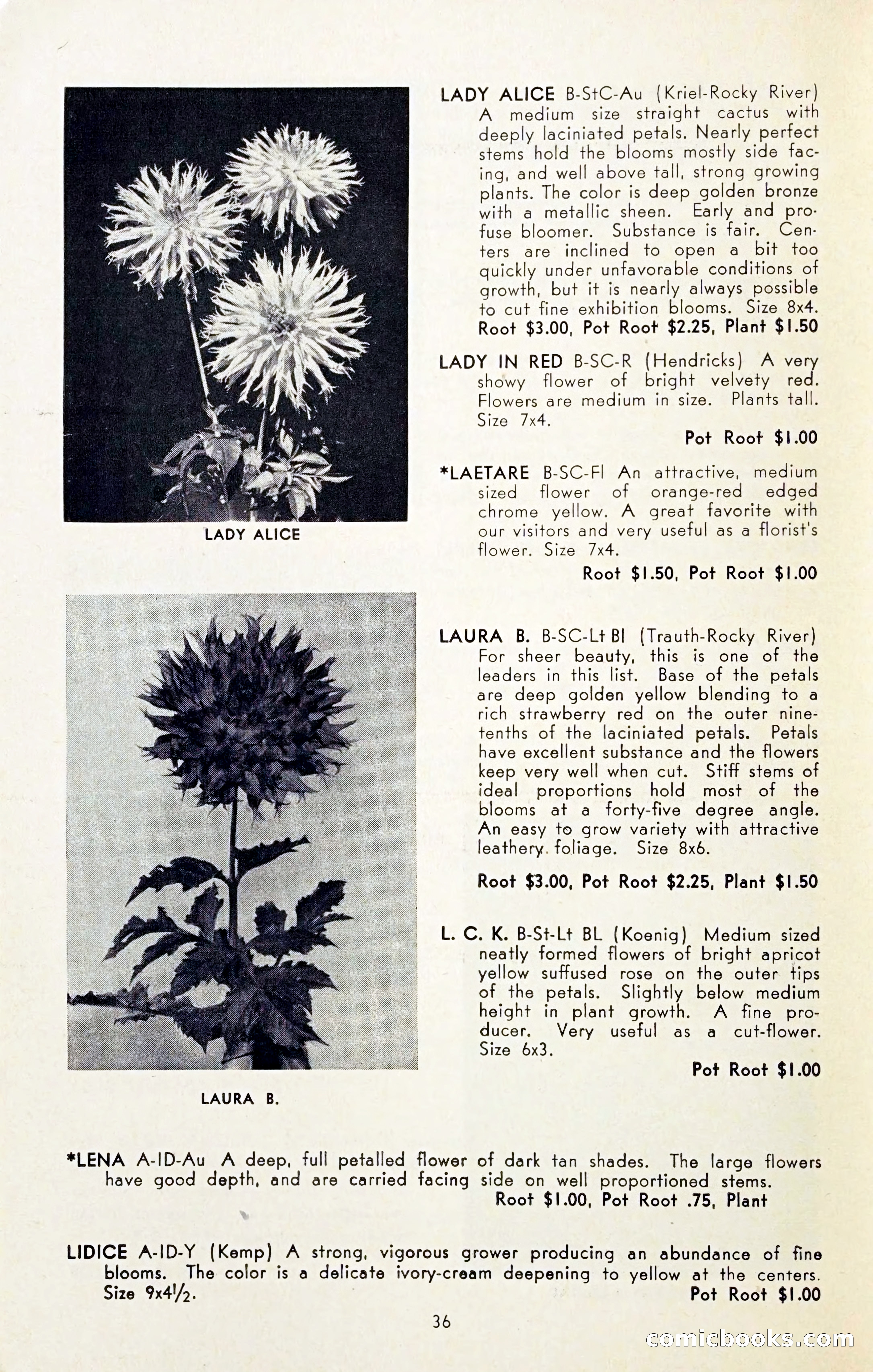The Dahlia Blue Book for 1954 — page 38 of 80