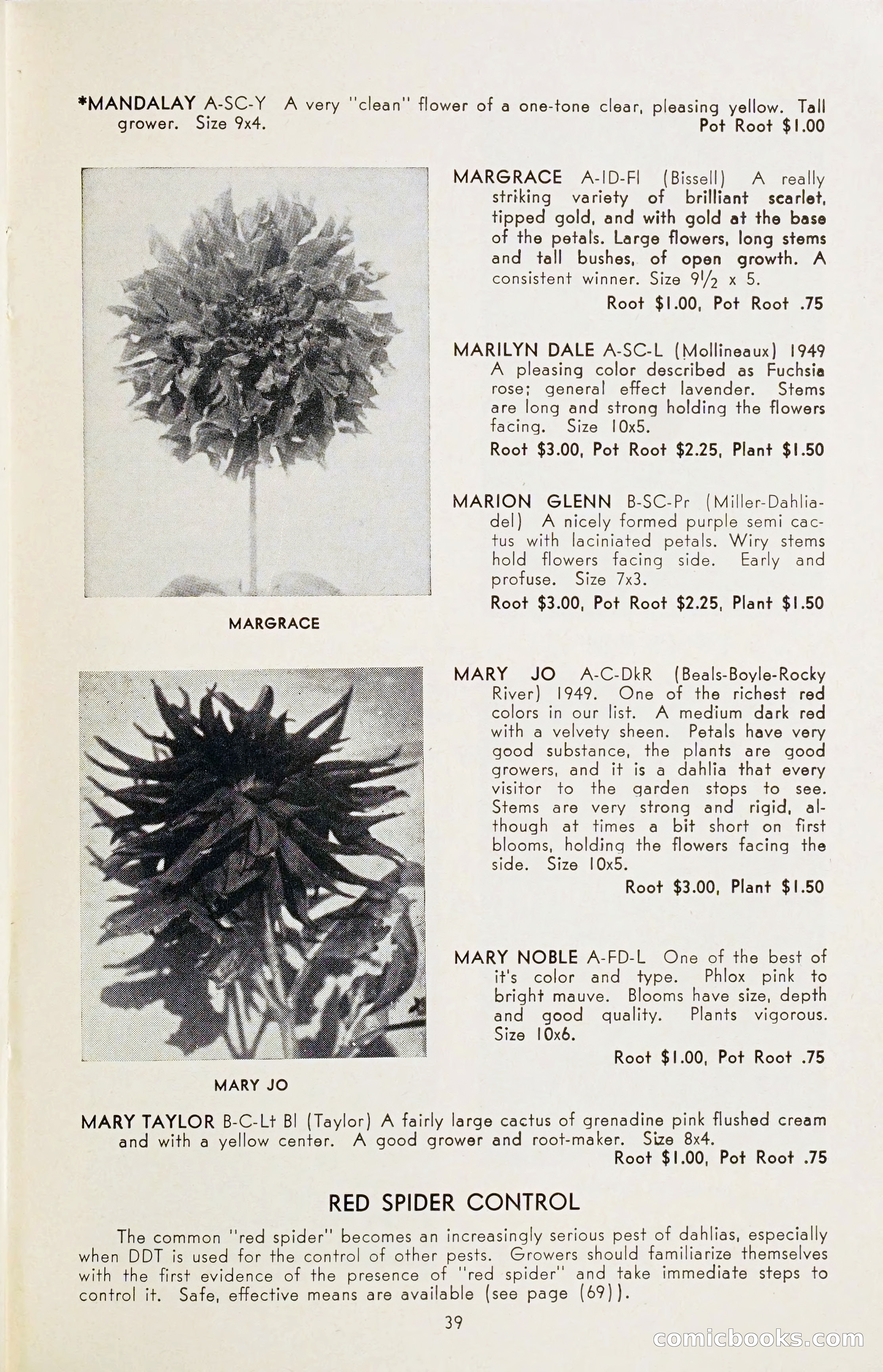 The Dahlia Blue Book for 1954 — page 41 of 80