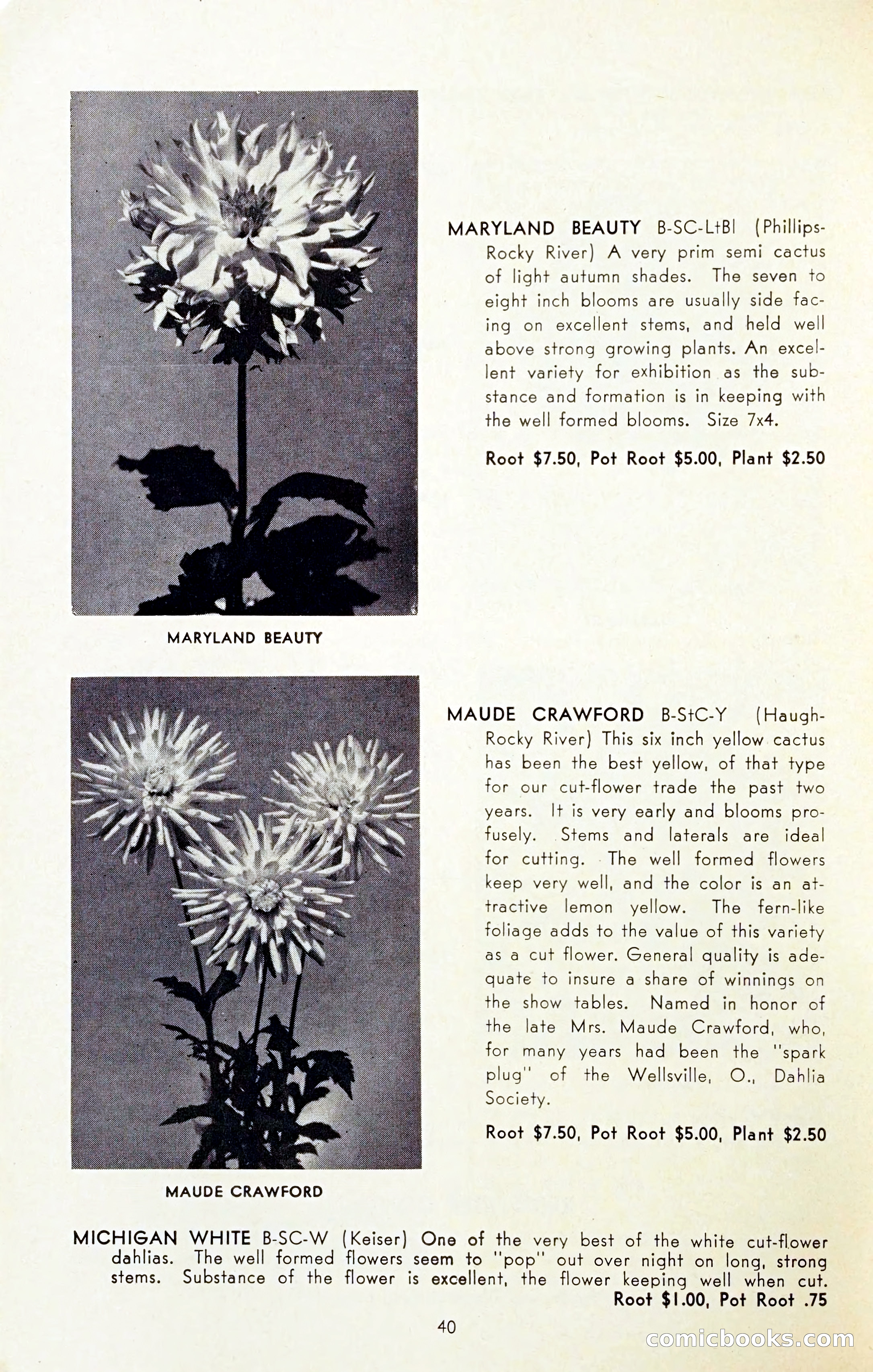 The Dahlia Blue Book for 1954 — page 42 of 80