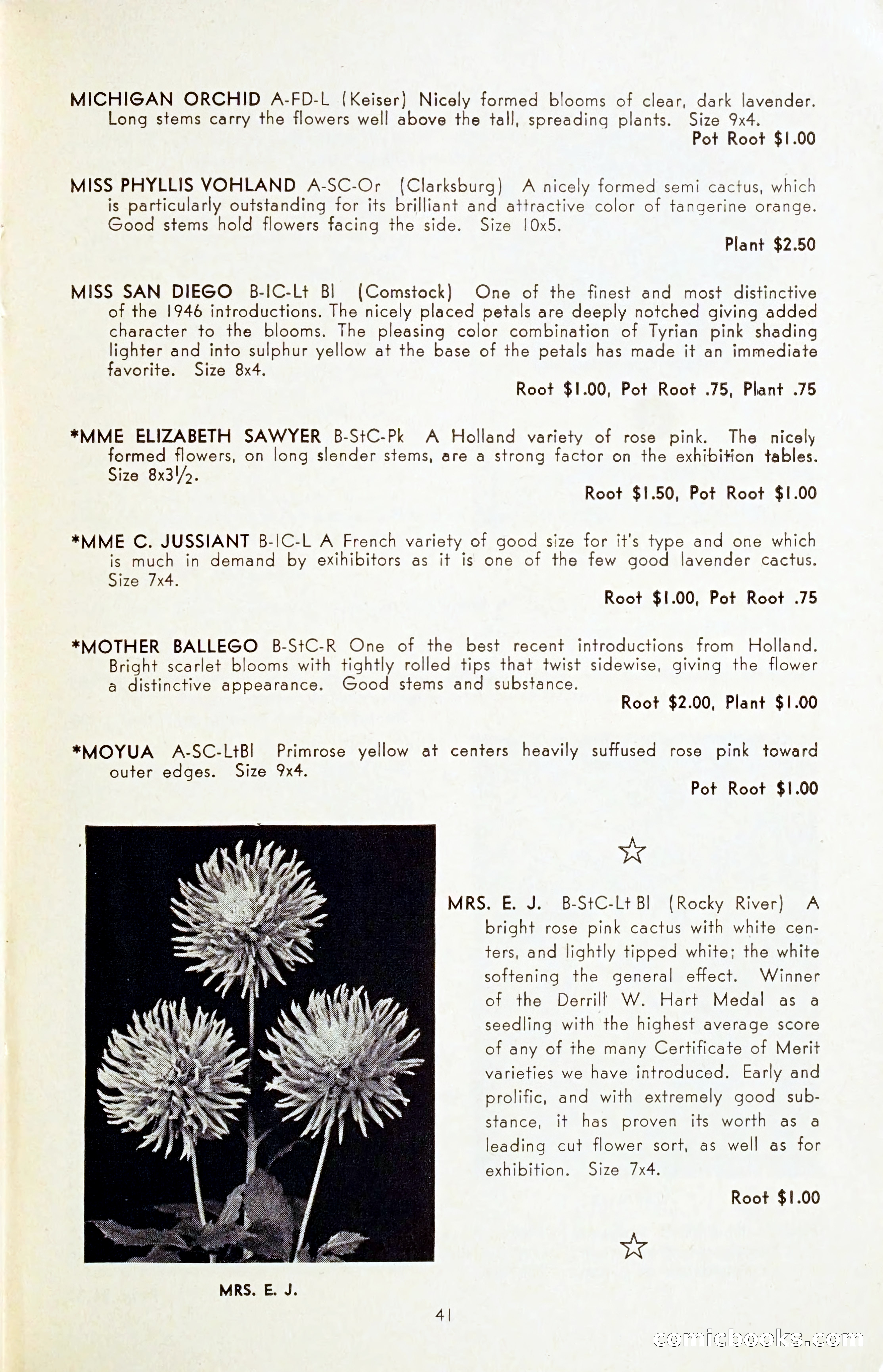 The Dahlia Blue Book for 1954 — page 43 of 80