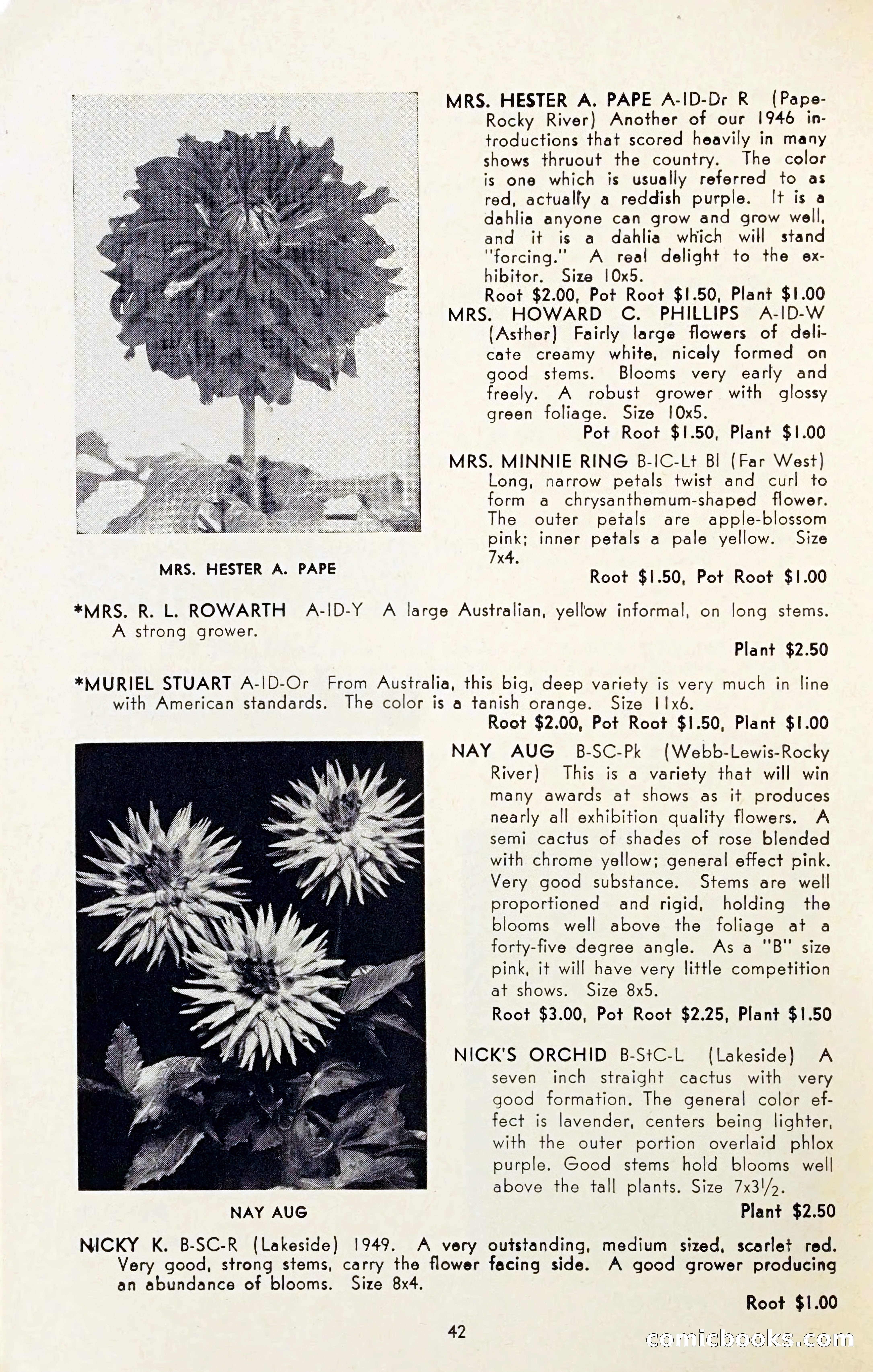 The Dahlia Blue Book for 1954 — page 44 of 80