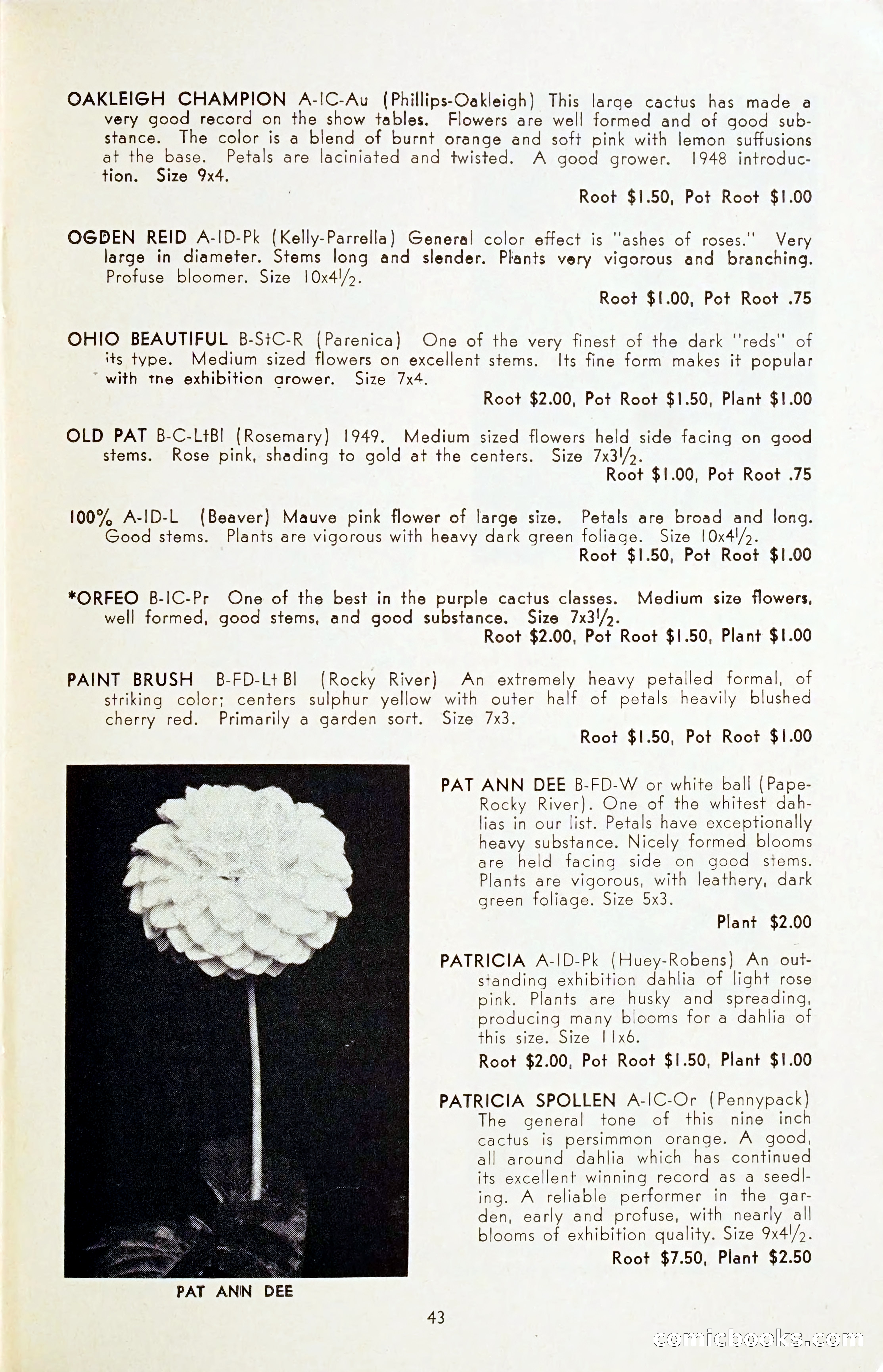 The Dahlia Blue Book for 1954 — page 45 of 80