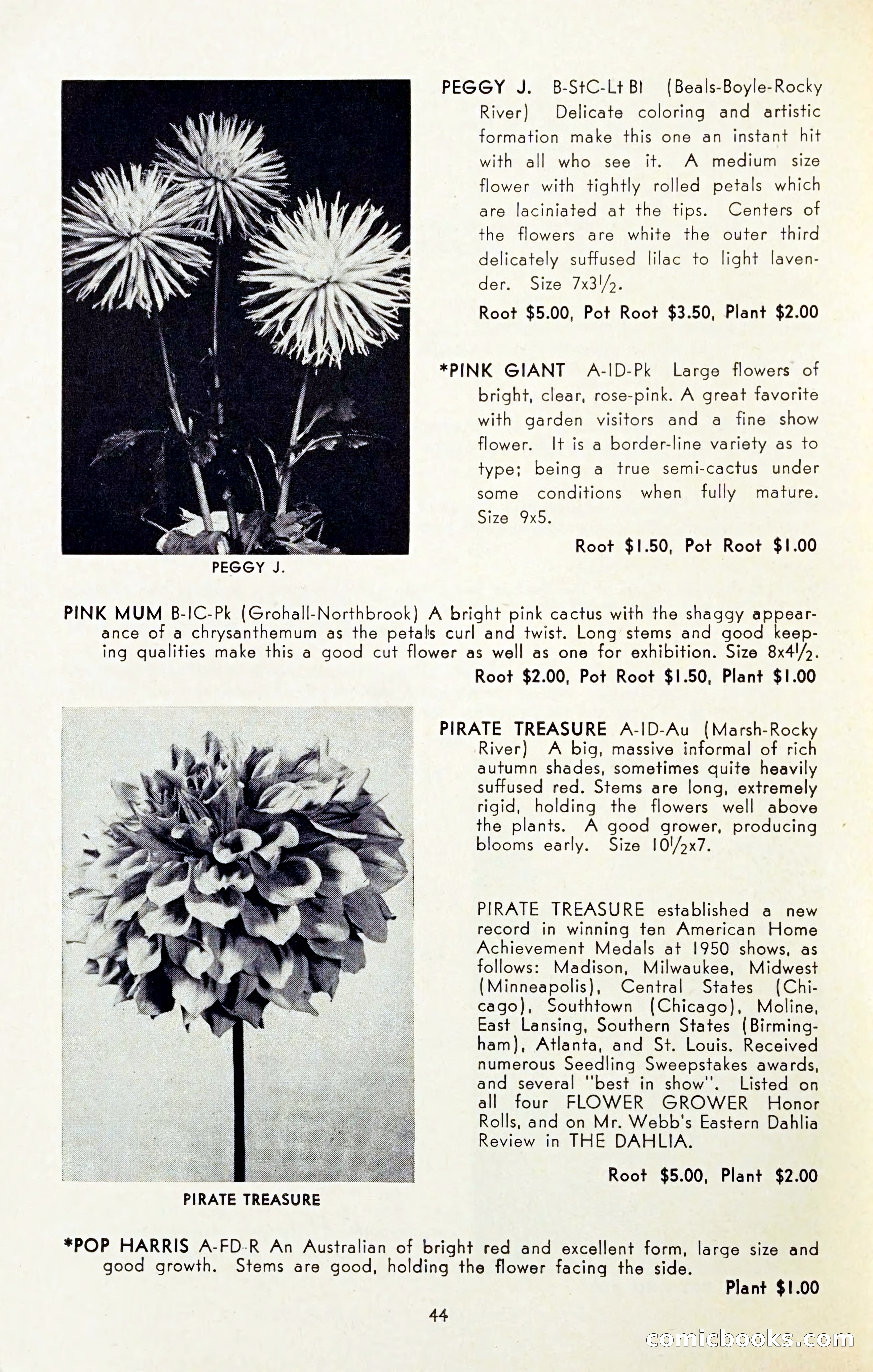The Dahlia Blue Book for 1954 — page 46 of 80