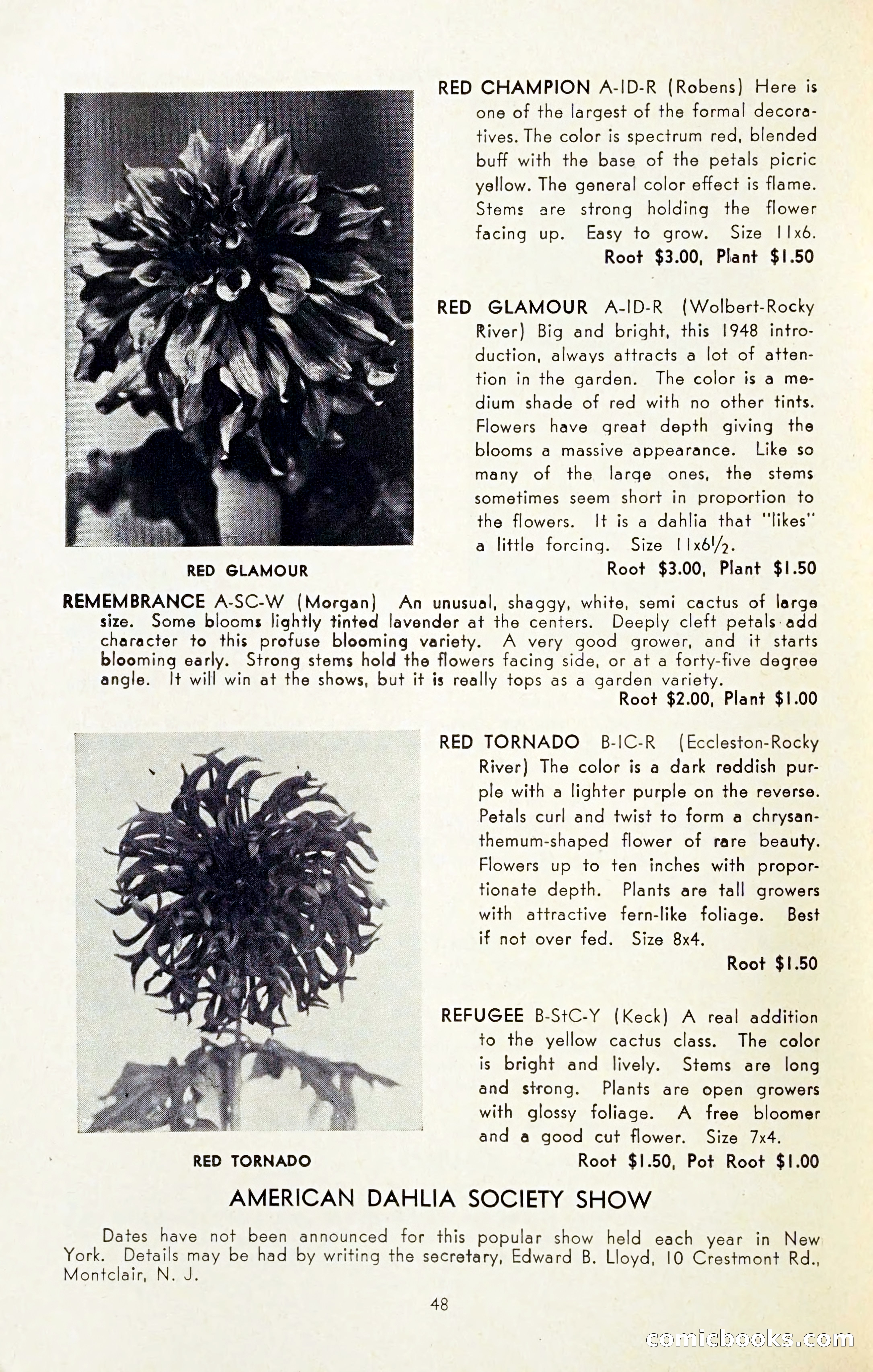 The Dahlia Blue Book for 1954 — page 50 of 80