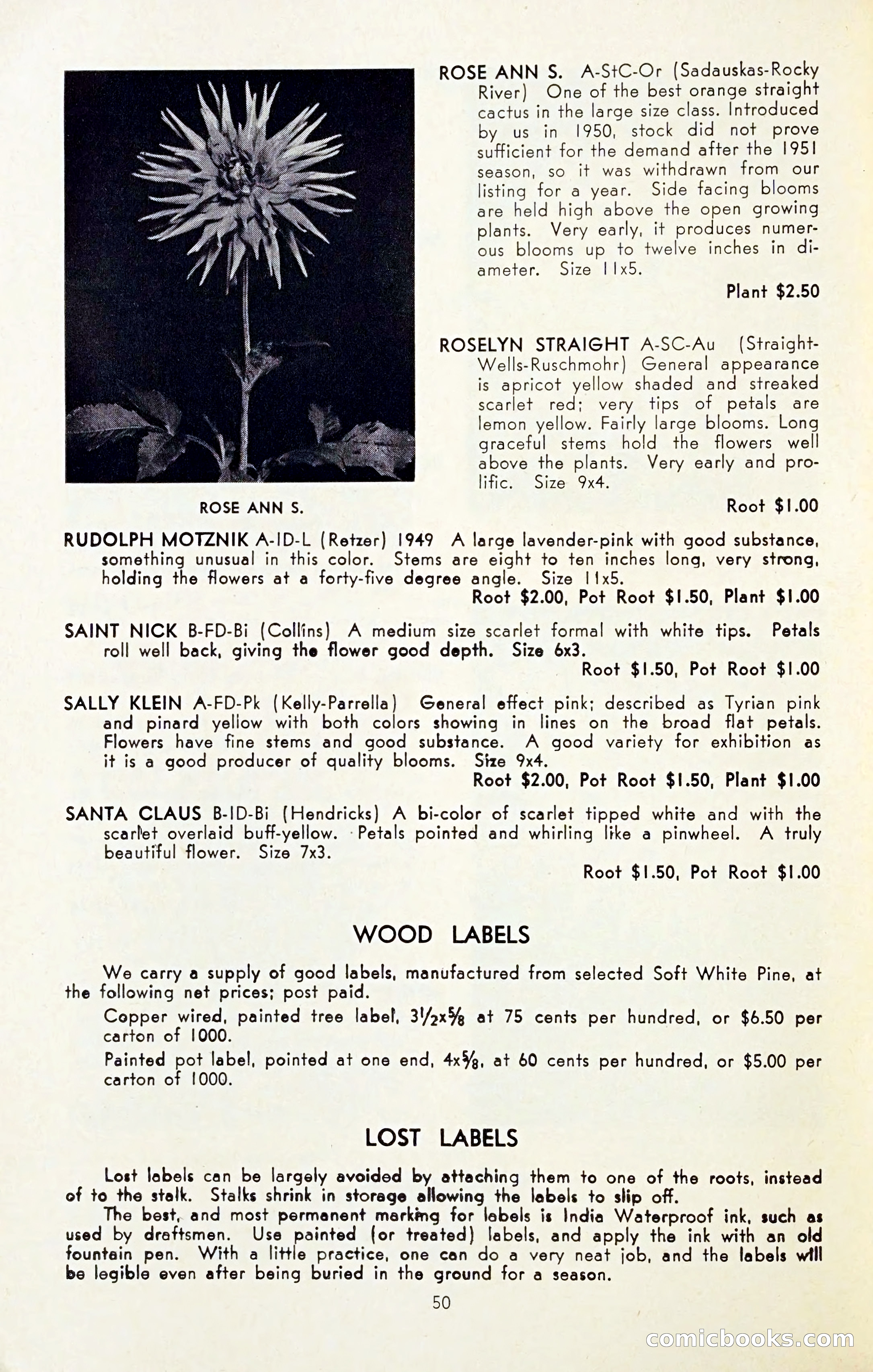 The Dahlia Blue Book for 1954 — page 52 of 80