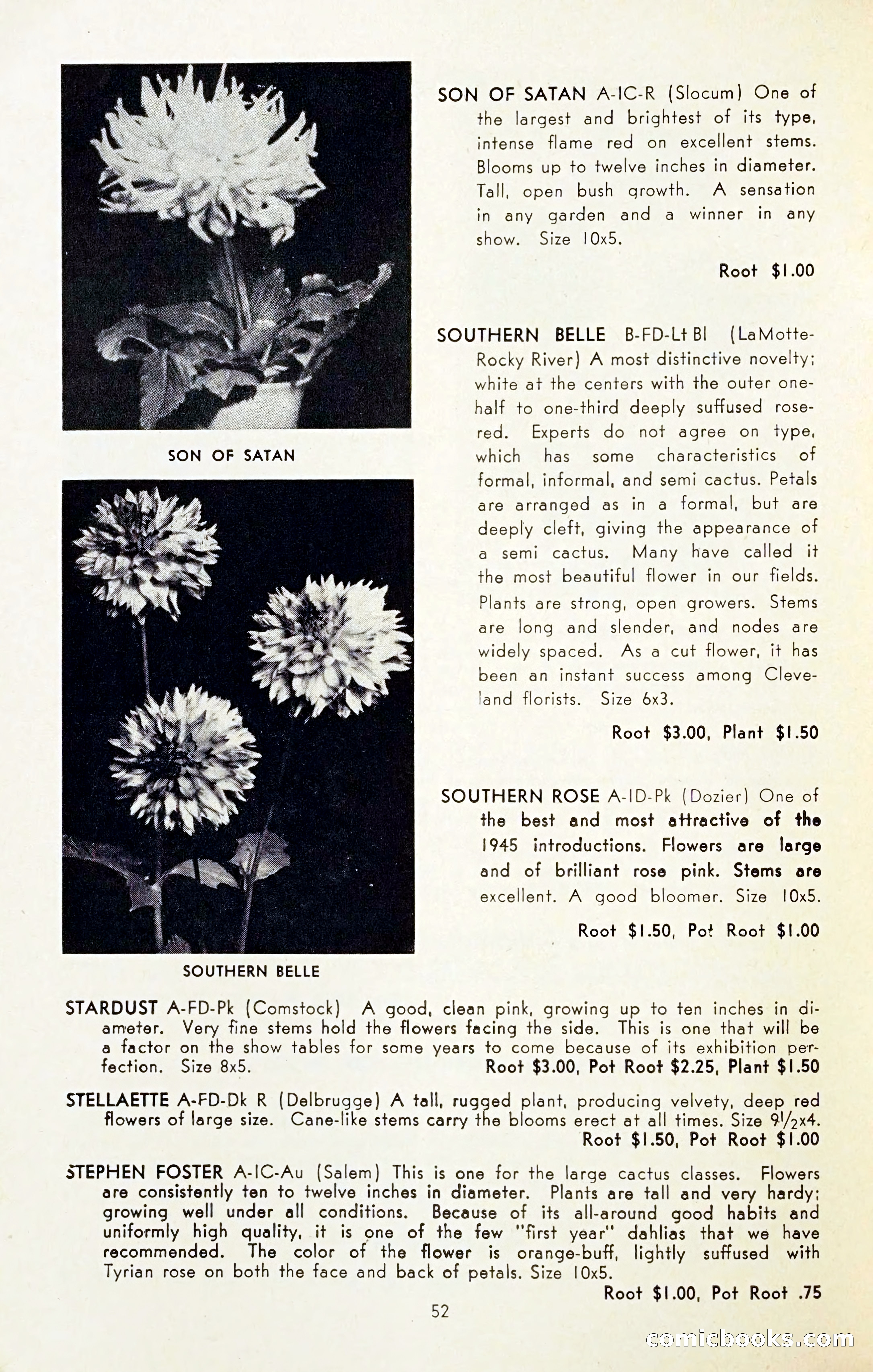 The Dahlia Blue Book for 1954 — page 54 of 80