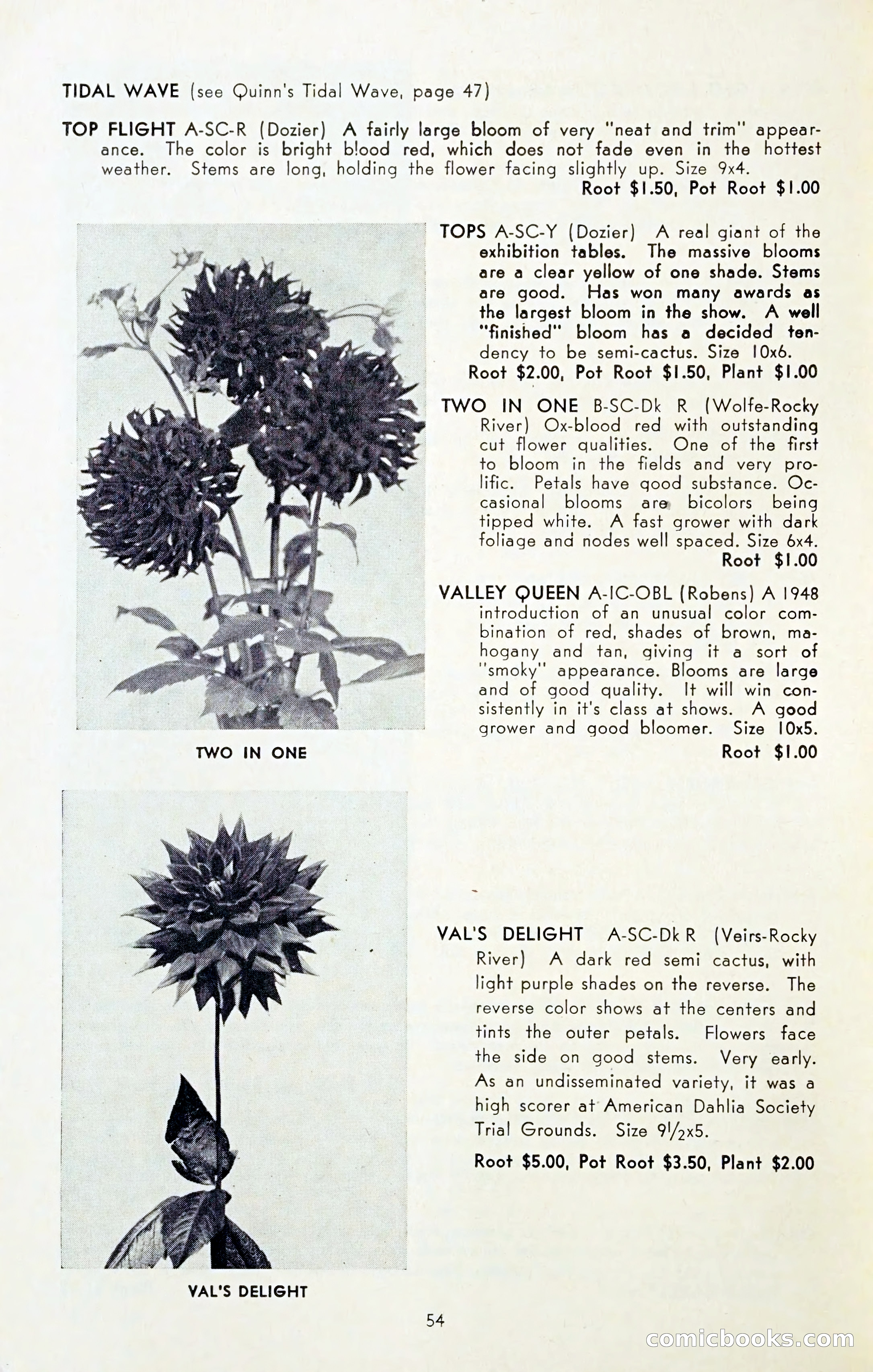 The Dahlia Blue Book for 1954 — page 56 of 80