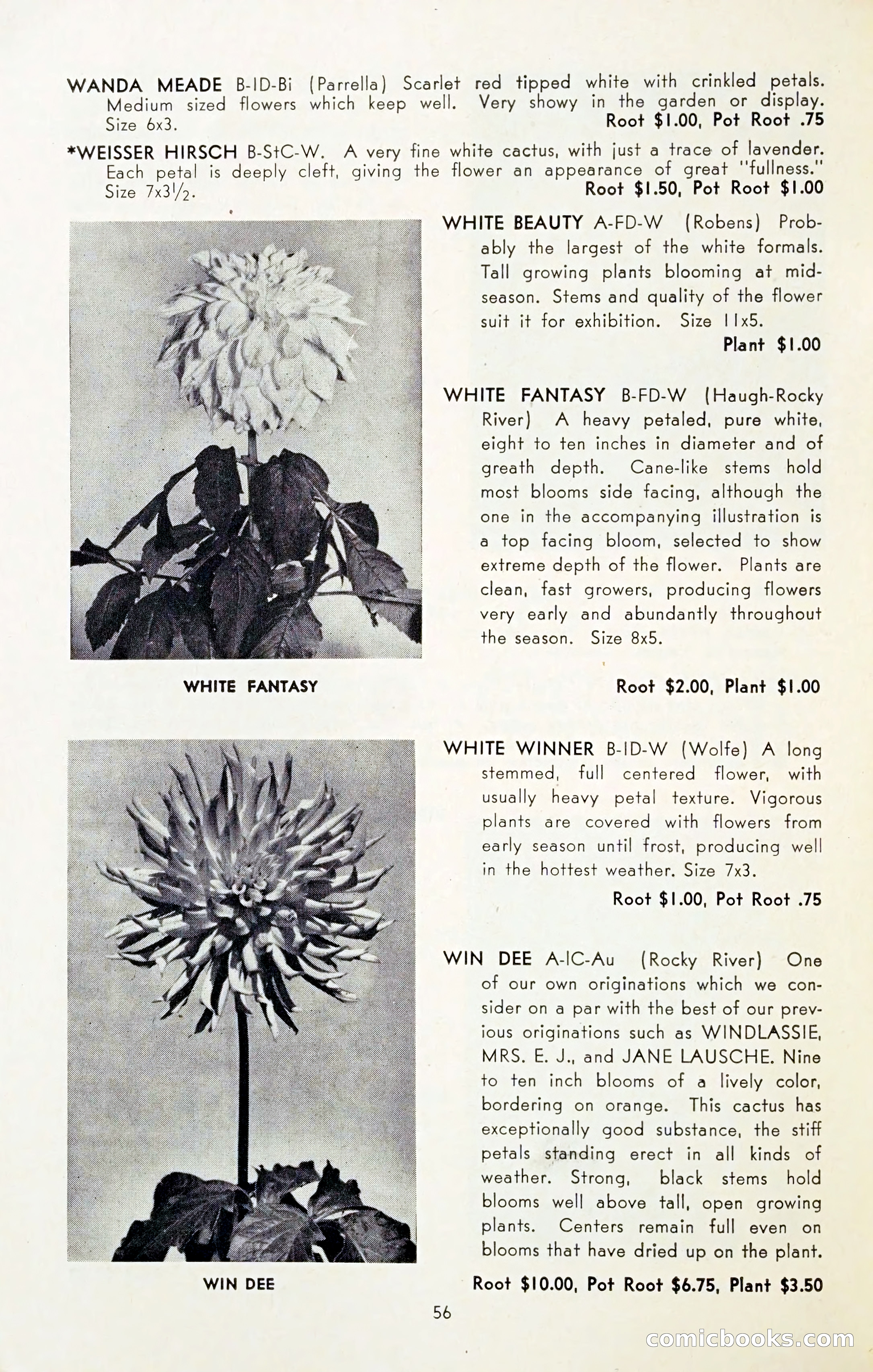 The Dahlia Blue Book for 1954 — page 58 of 80