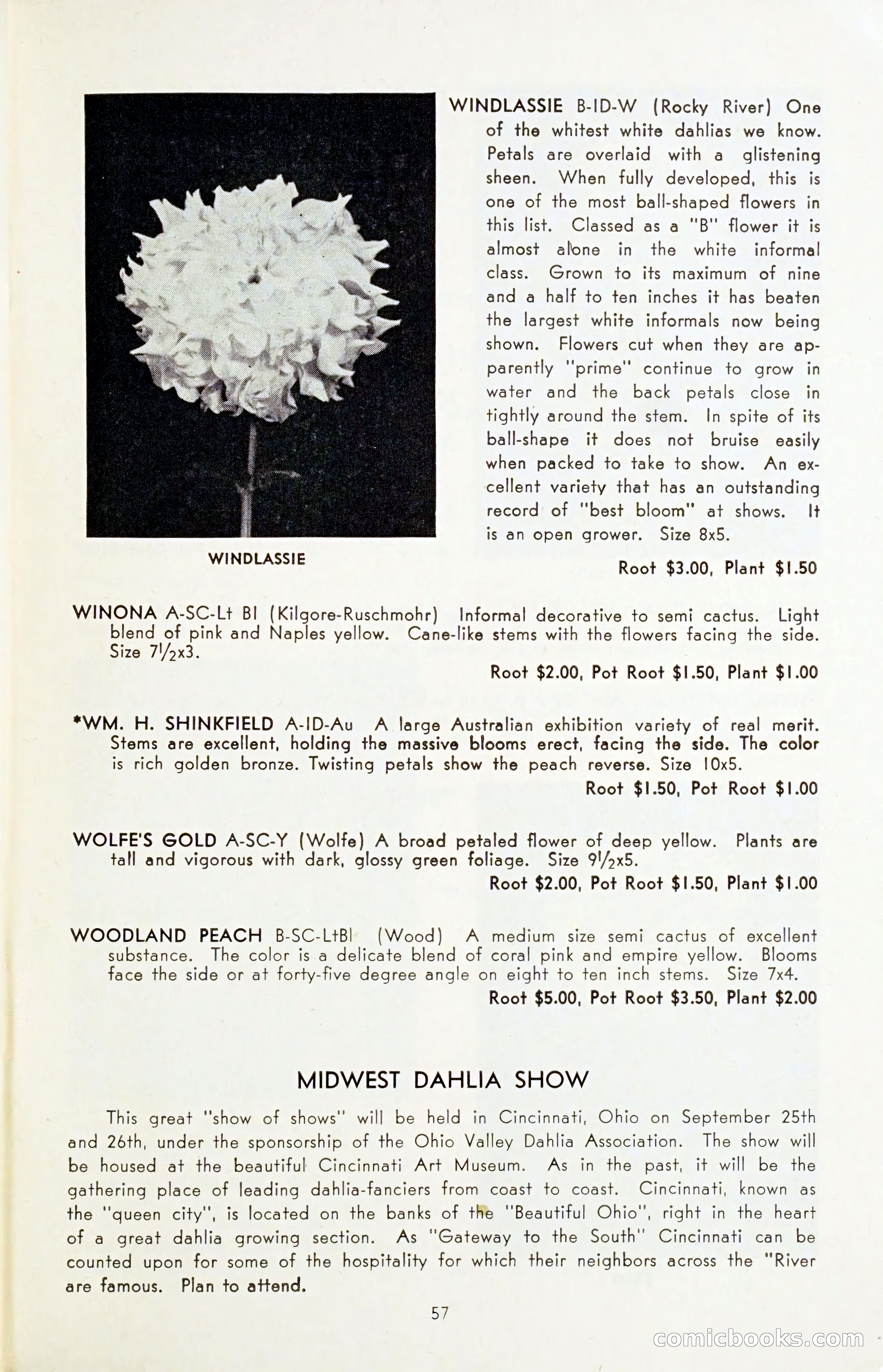 The Dahlia Blue Book for 1954 — page 59 of 80