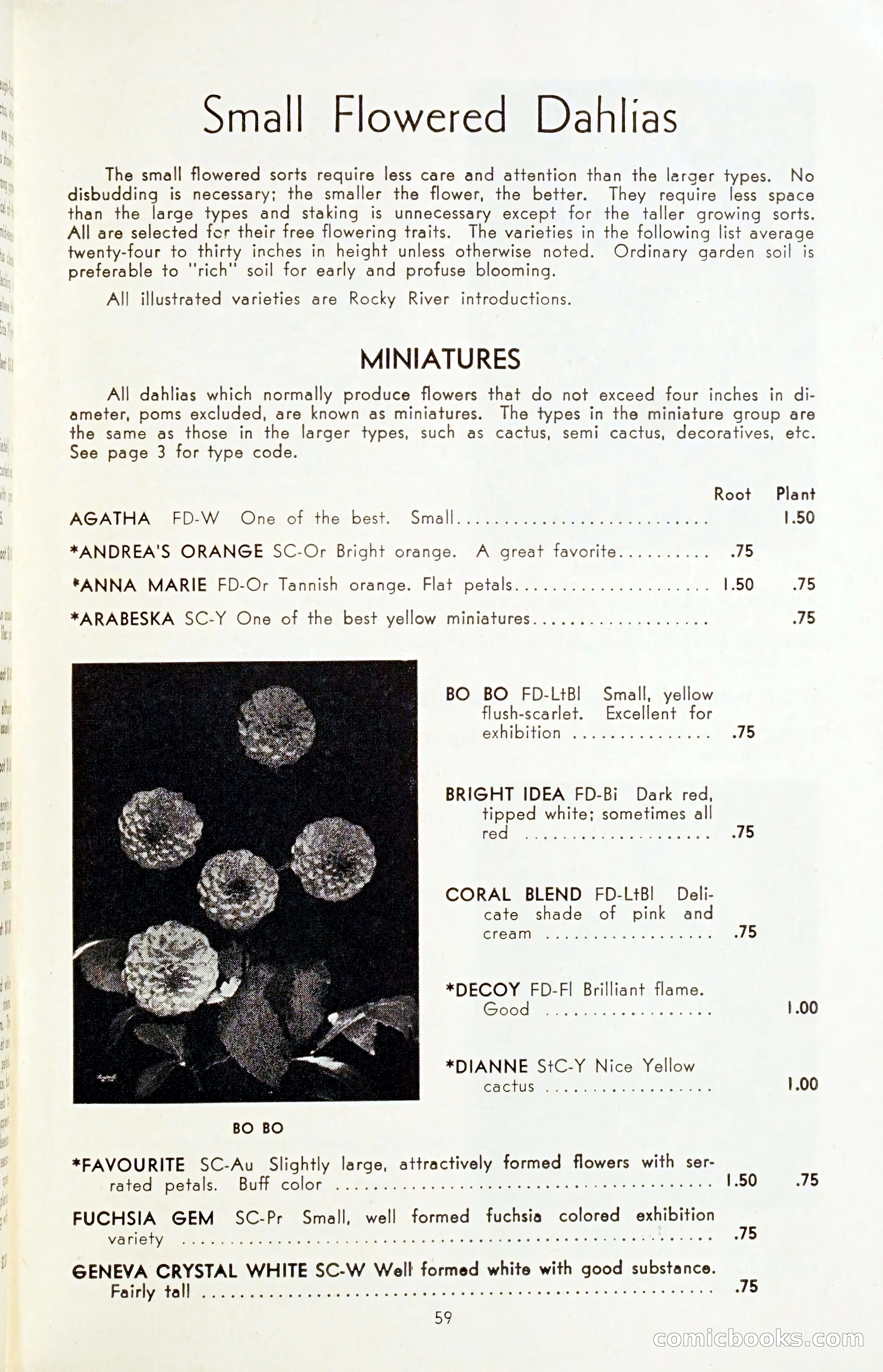 The Dahlia Blue Book for 1954 — page 61 of 80