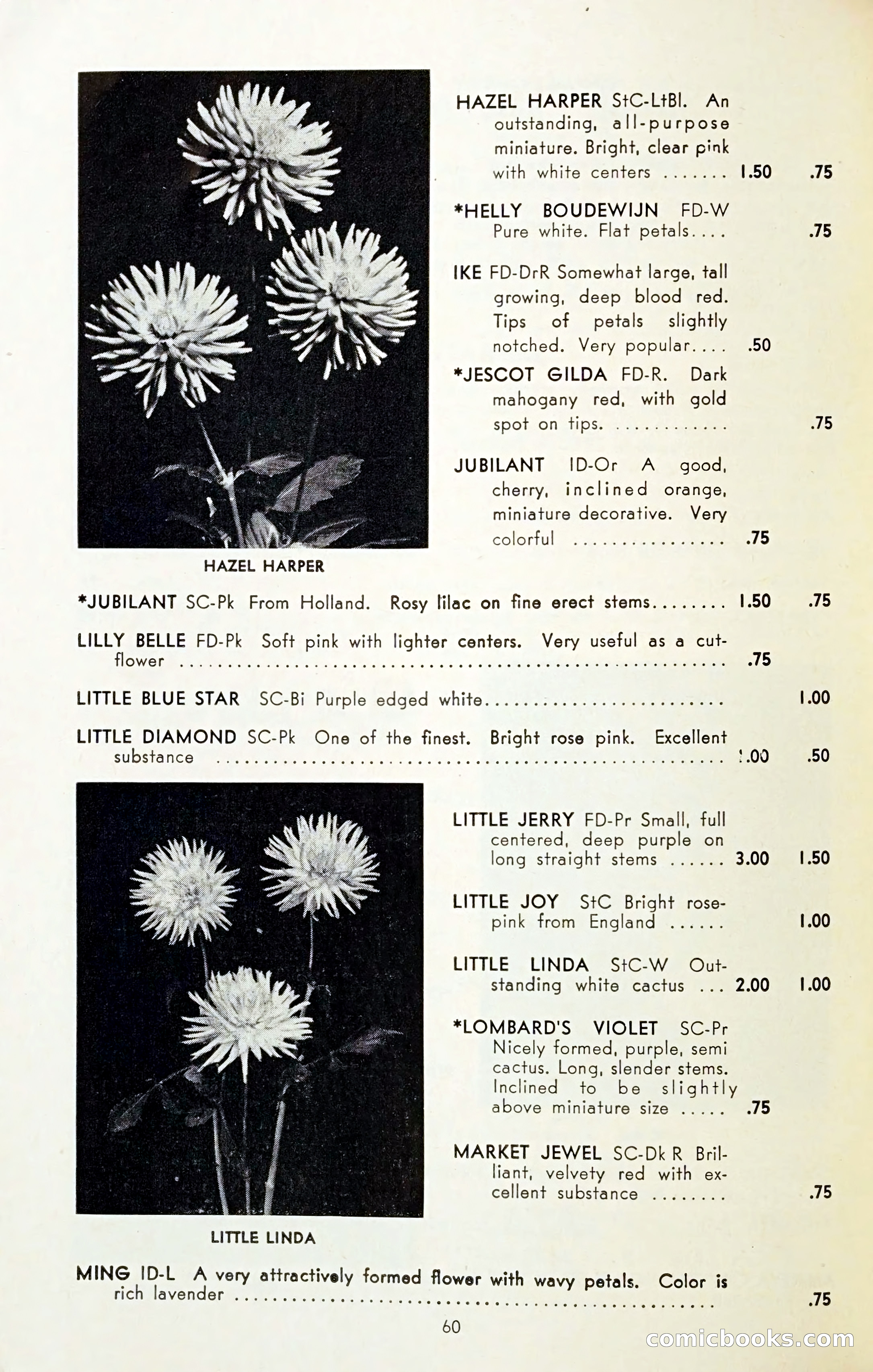 The Dahlia Blue Book for 1954 — page 62 of 80
