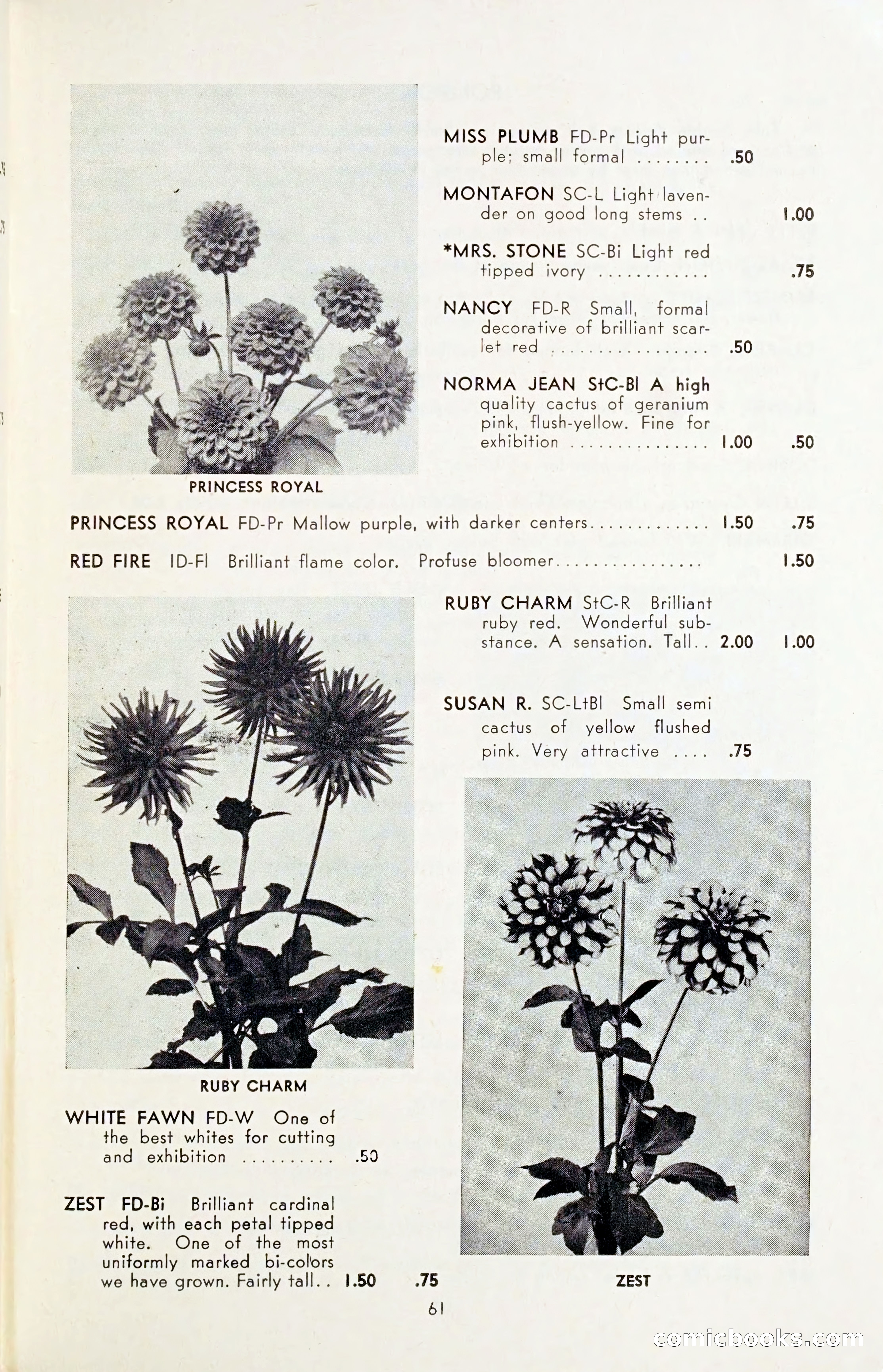 The Dahlia Blue Book for 1954 — page 63 of 80