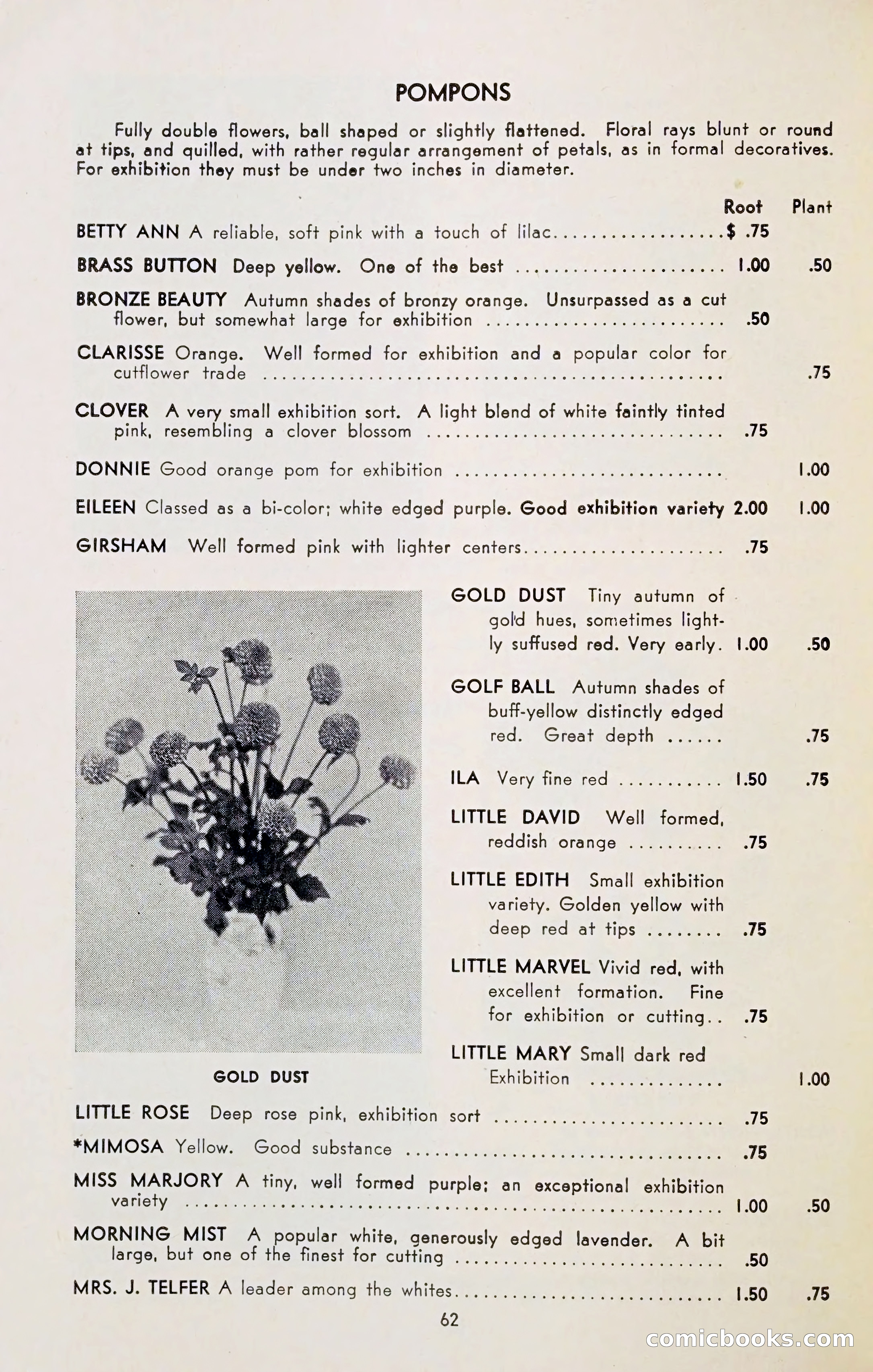 The Dahlia Blue Book for 1954 — page 64 of 80