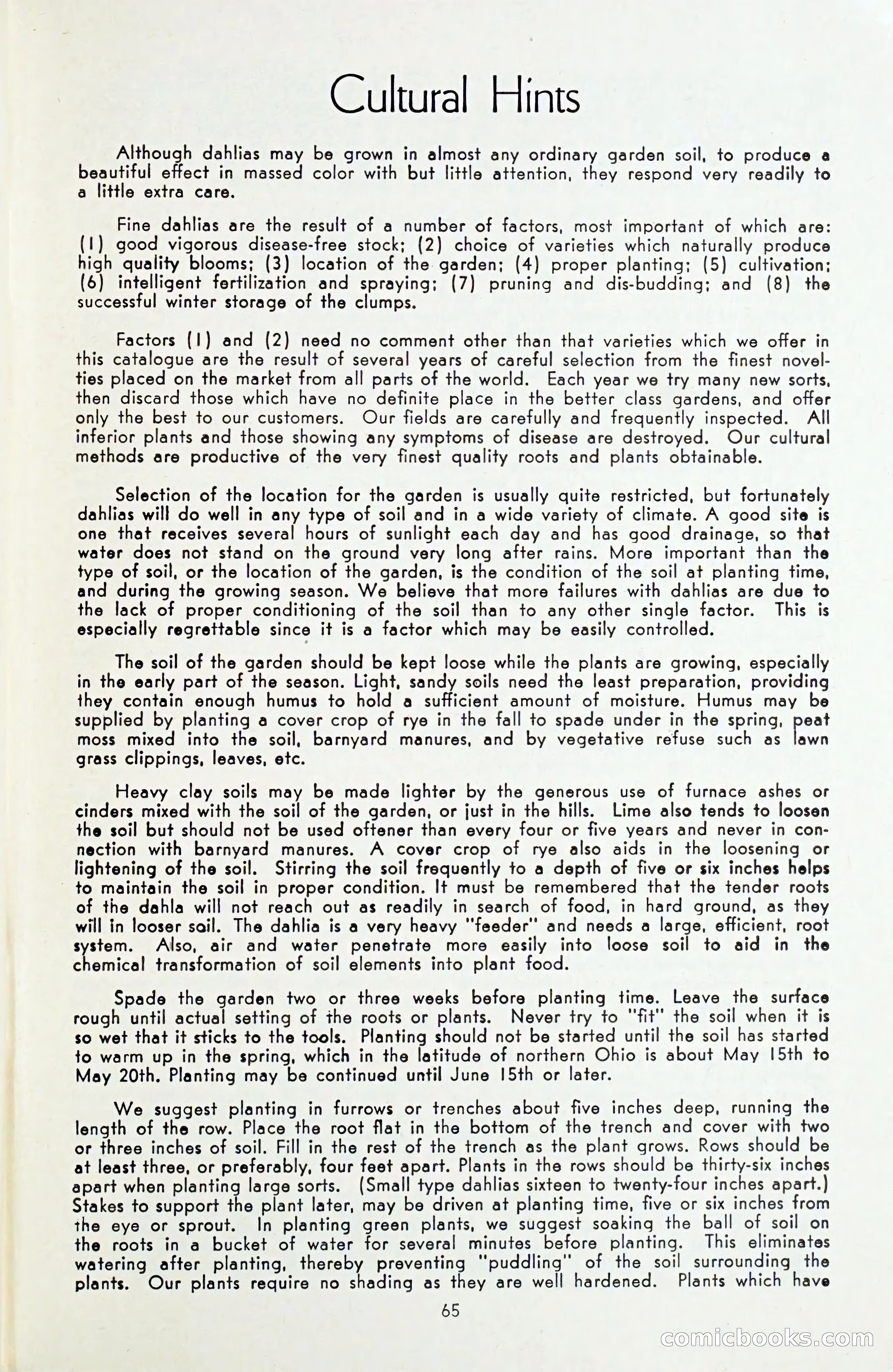 The Dahlia Blue Book for 1954 — page 67 of 80