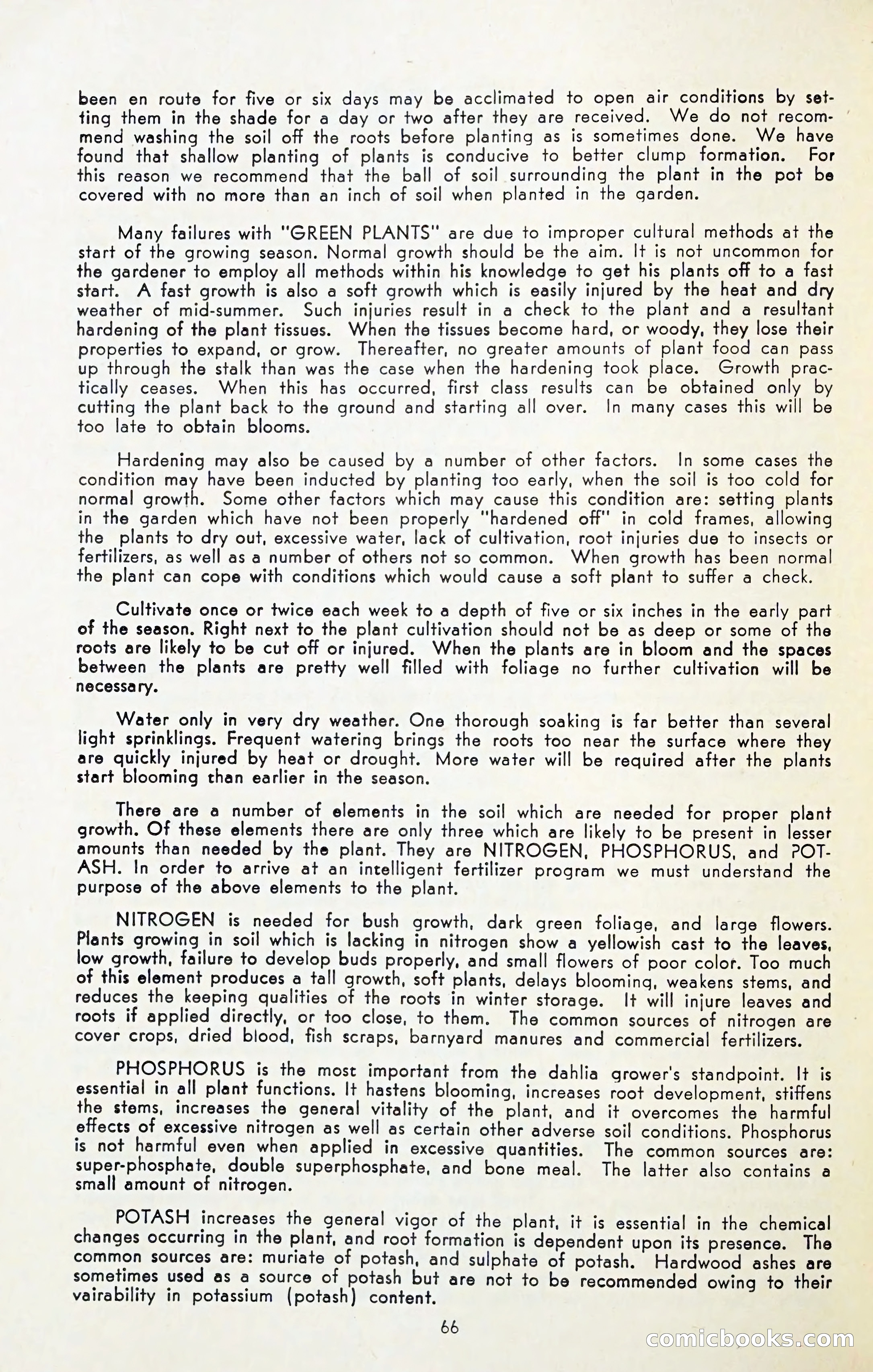 The Dahlia Blue Book for 1954 — page 68 of 80