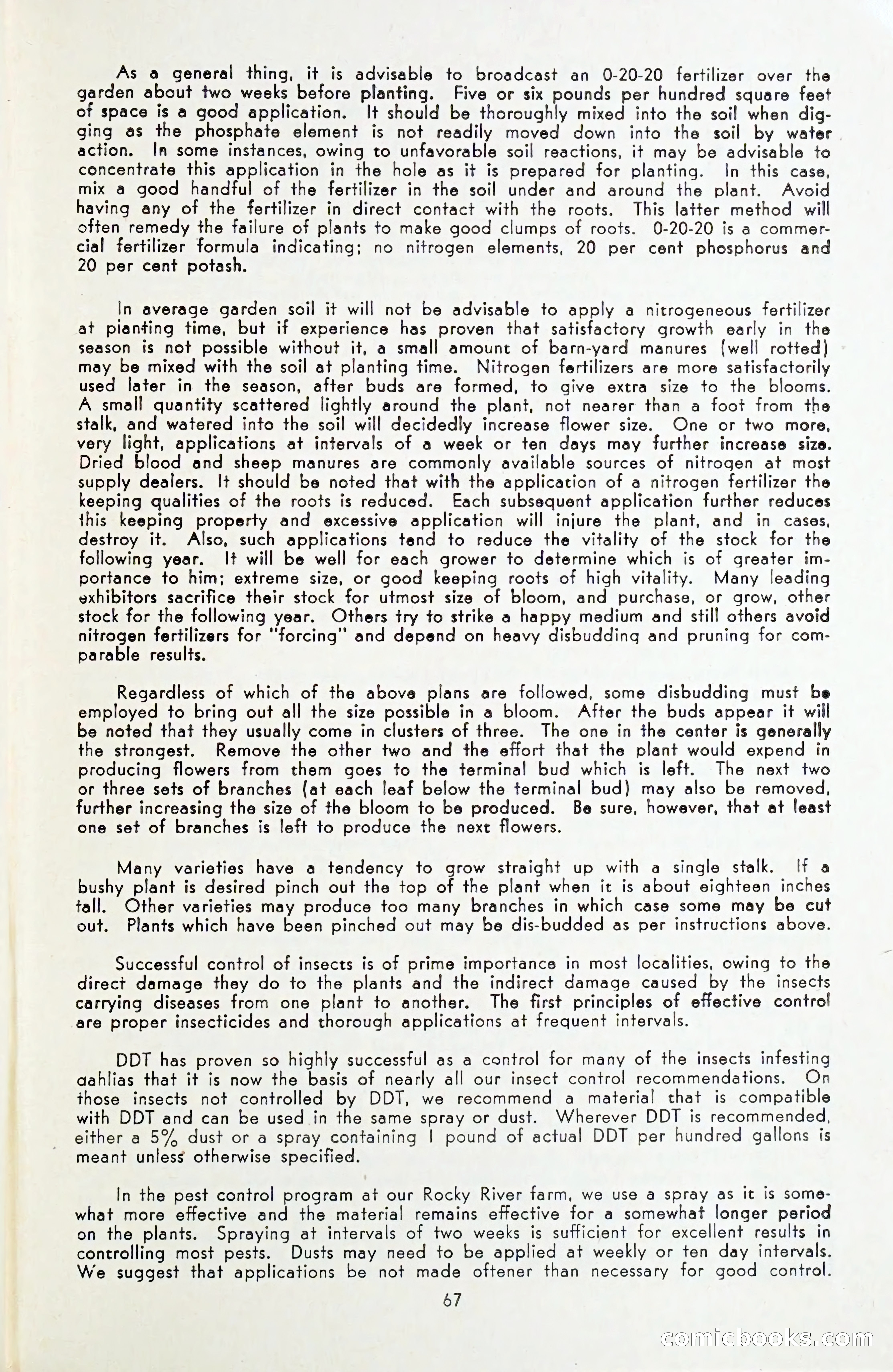 The Dahlia Blue Book for 1954 — page 69 of 80