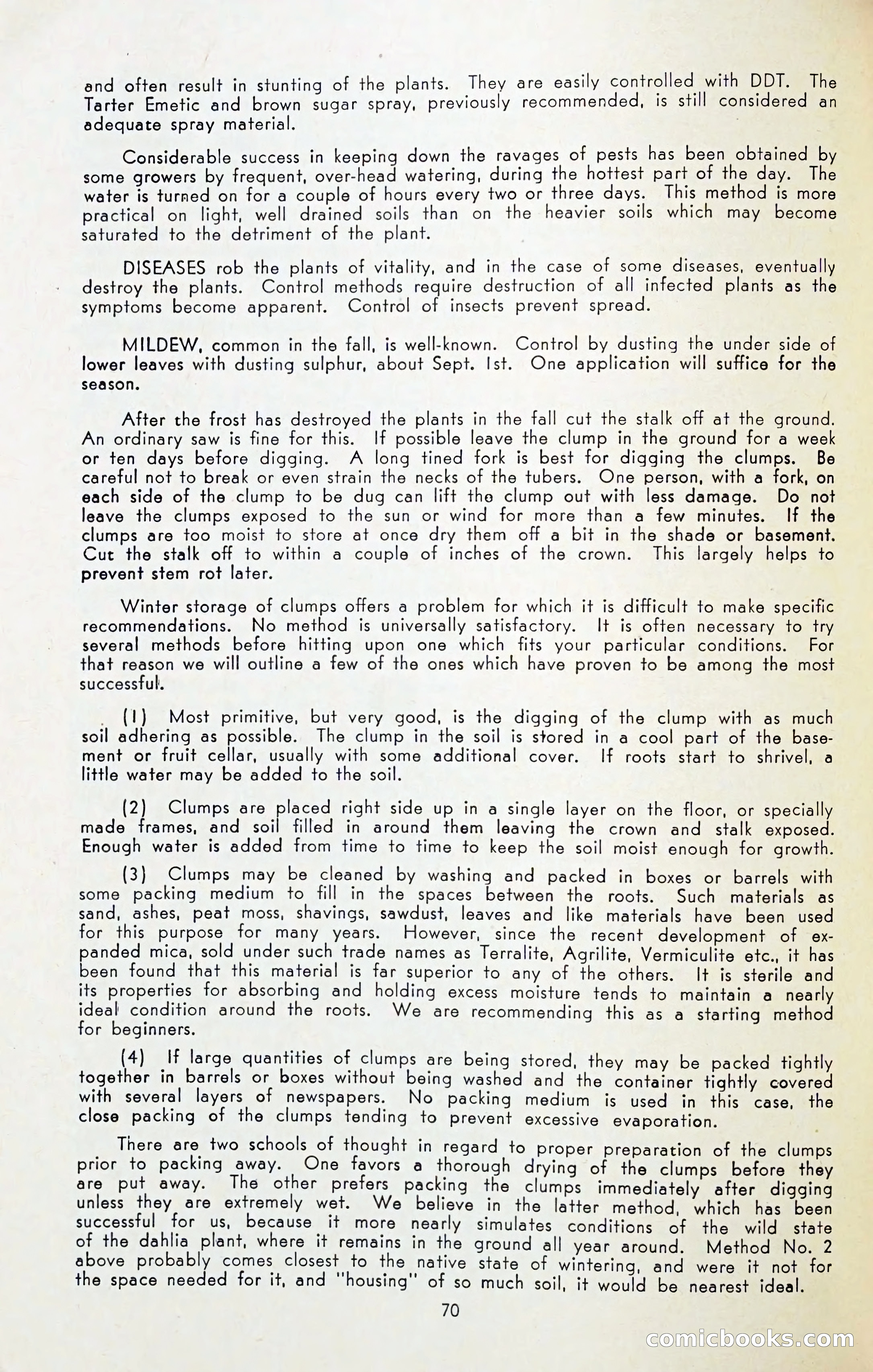 The Dahlia Blue Book for 1954 — page 72 of 80