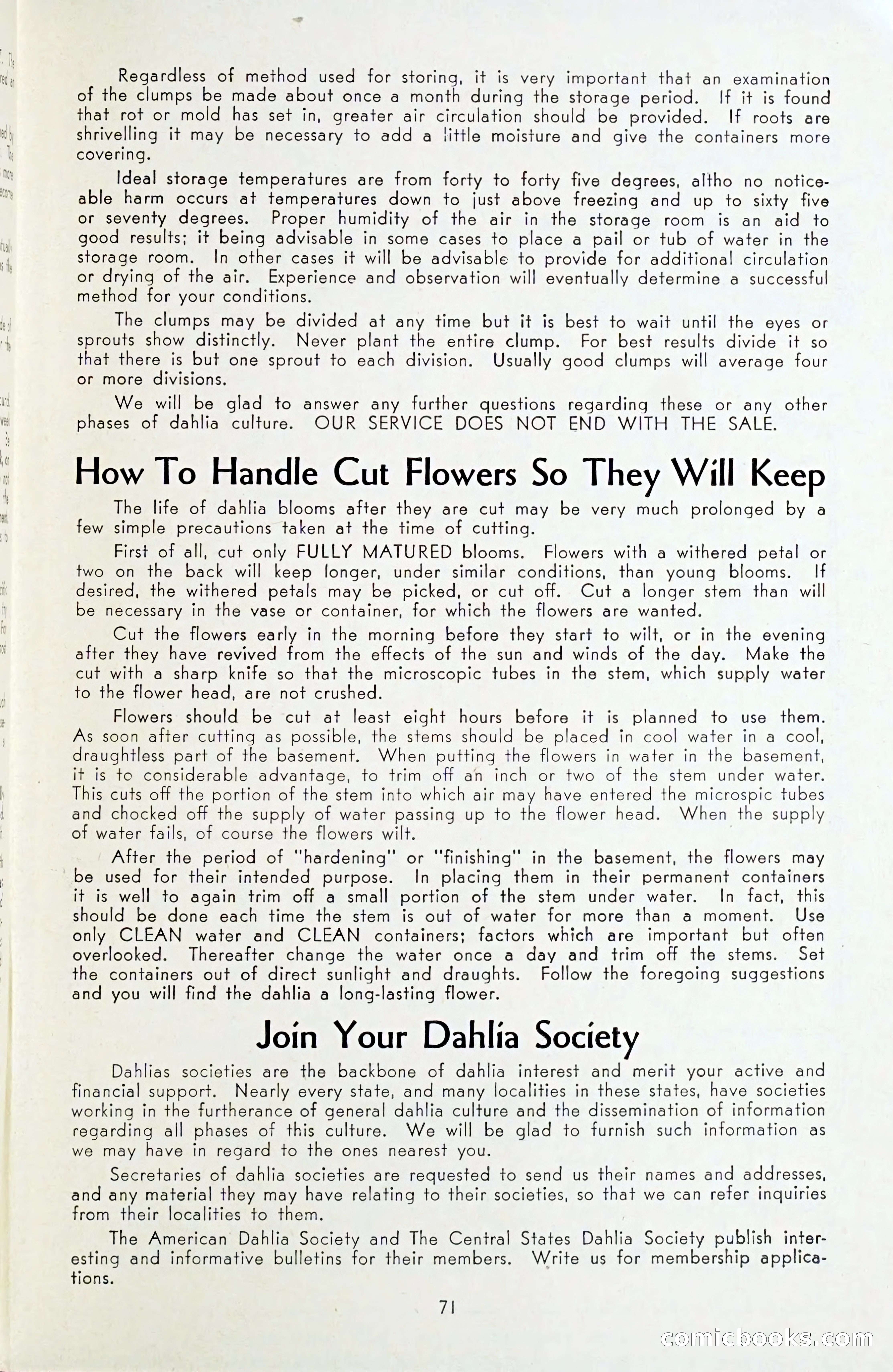 The Dahlia Blue Book for 1954 — page 73 of 80