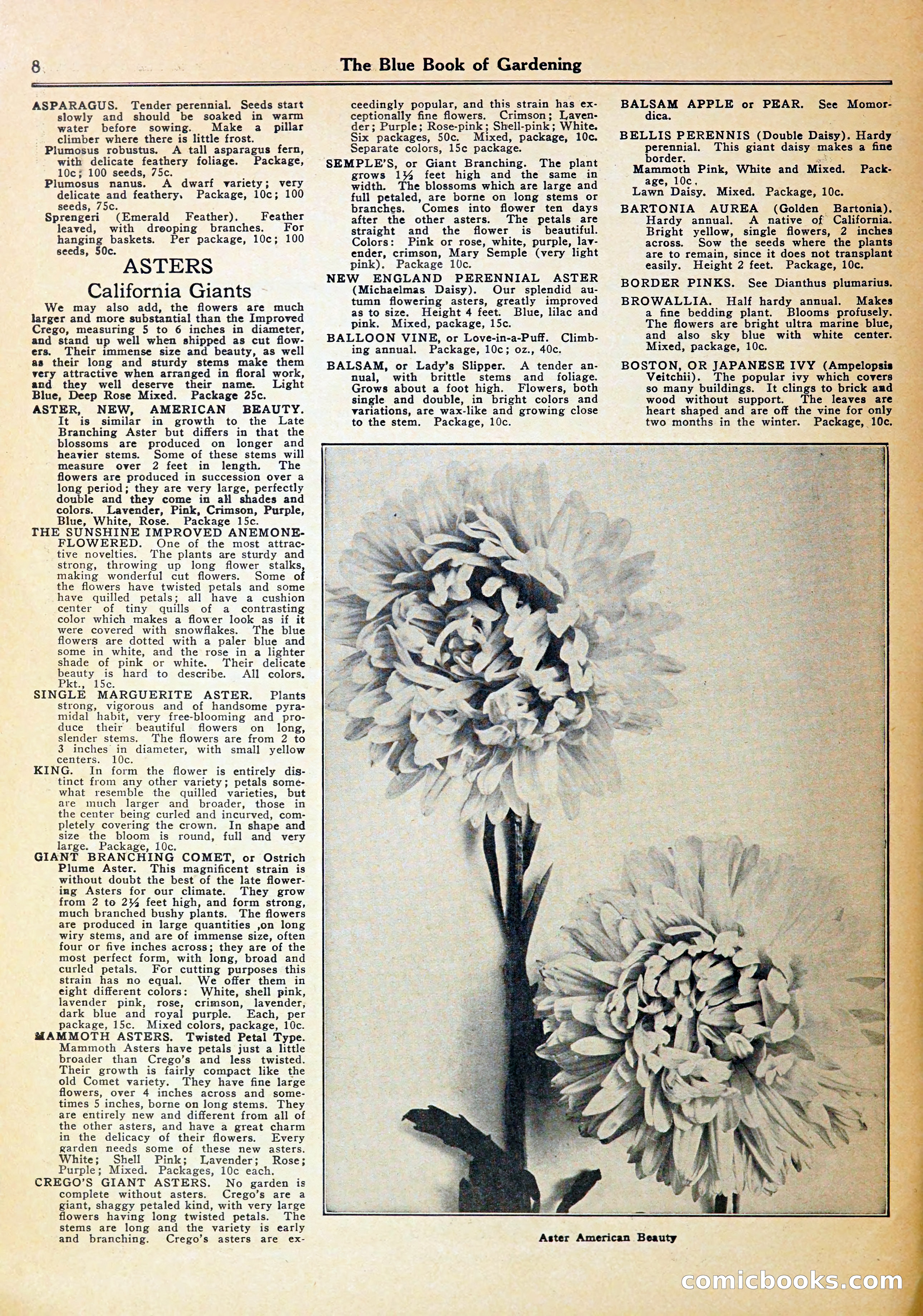Blue Book of Gardening — page 12 of 72