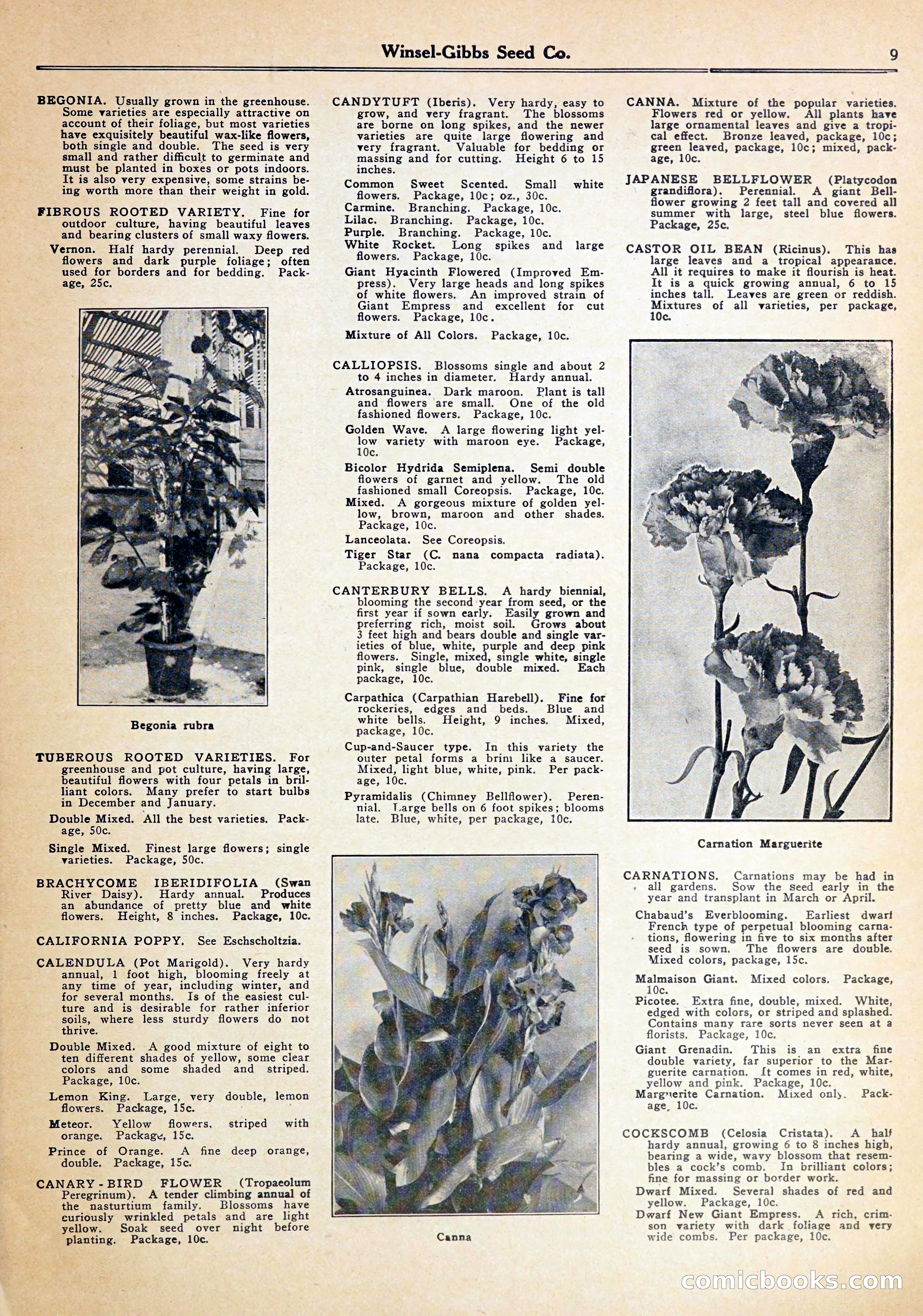 Blue Book of Gardening — page 13 of 72