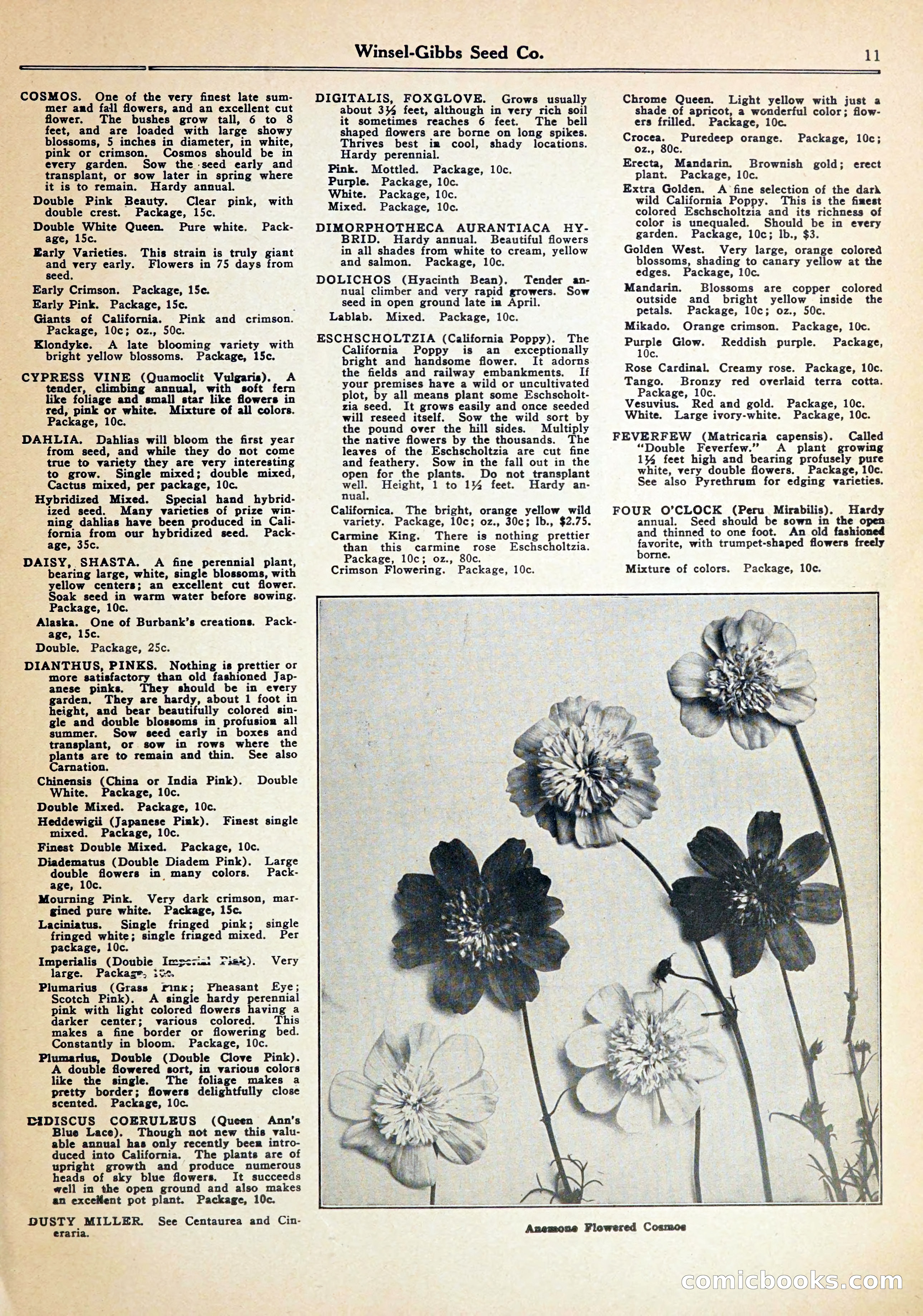 Blue Book of Gardening — page 15 of 72
